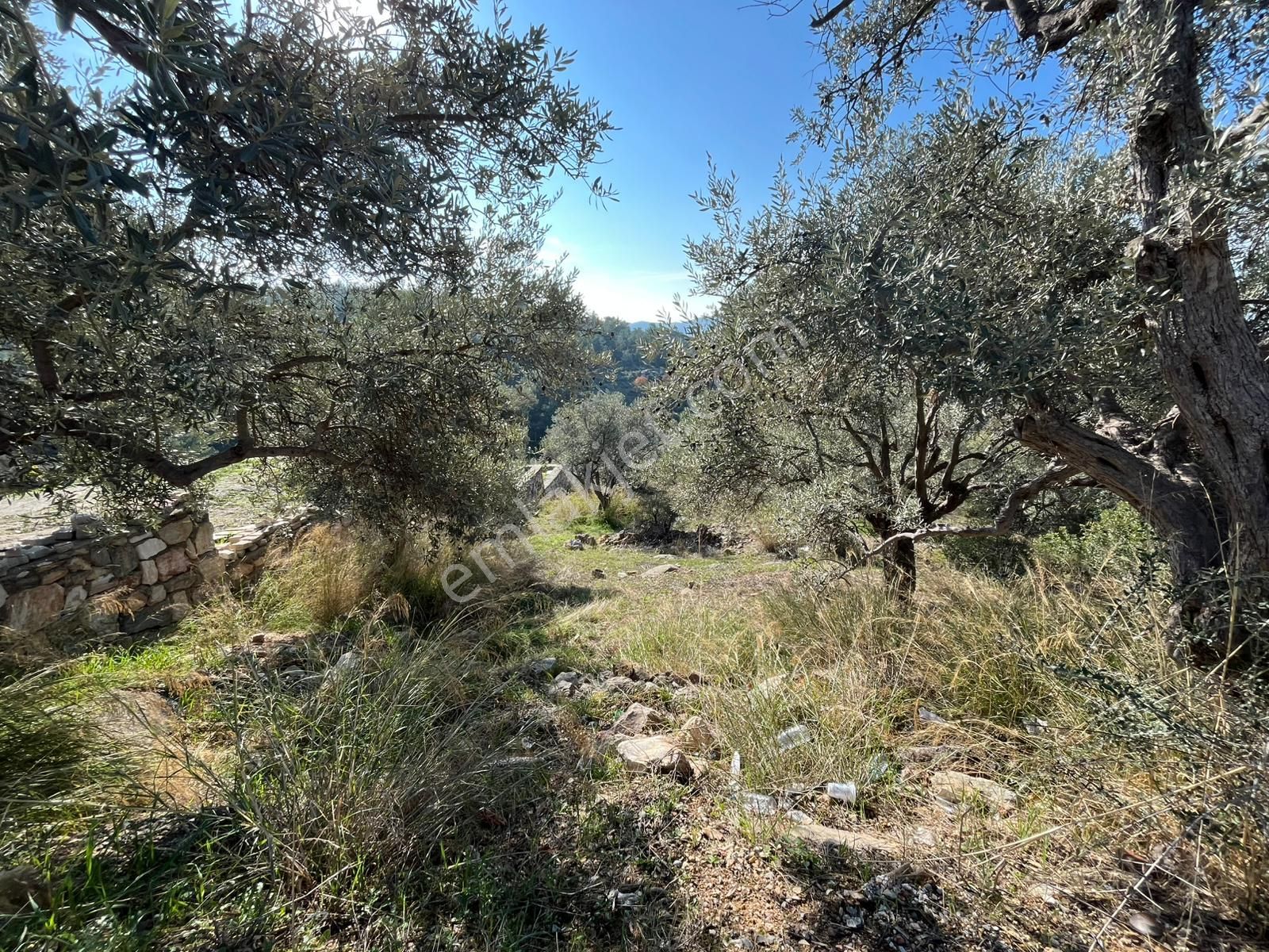 Öz-er Gayrimenkul’den | Köy İçinde, Doğa Manzaralı Satılık Tarla - Görsel 3