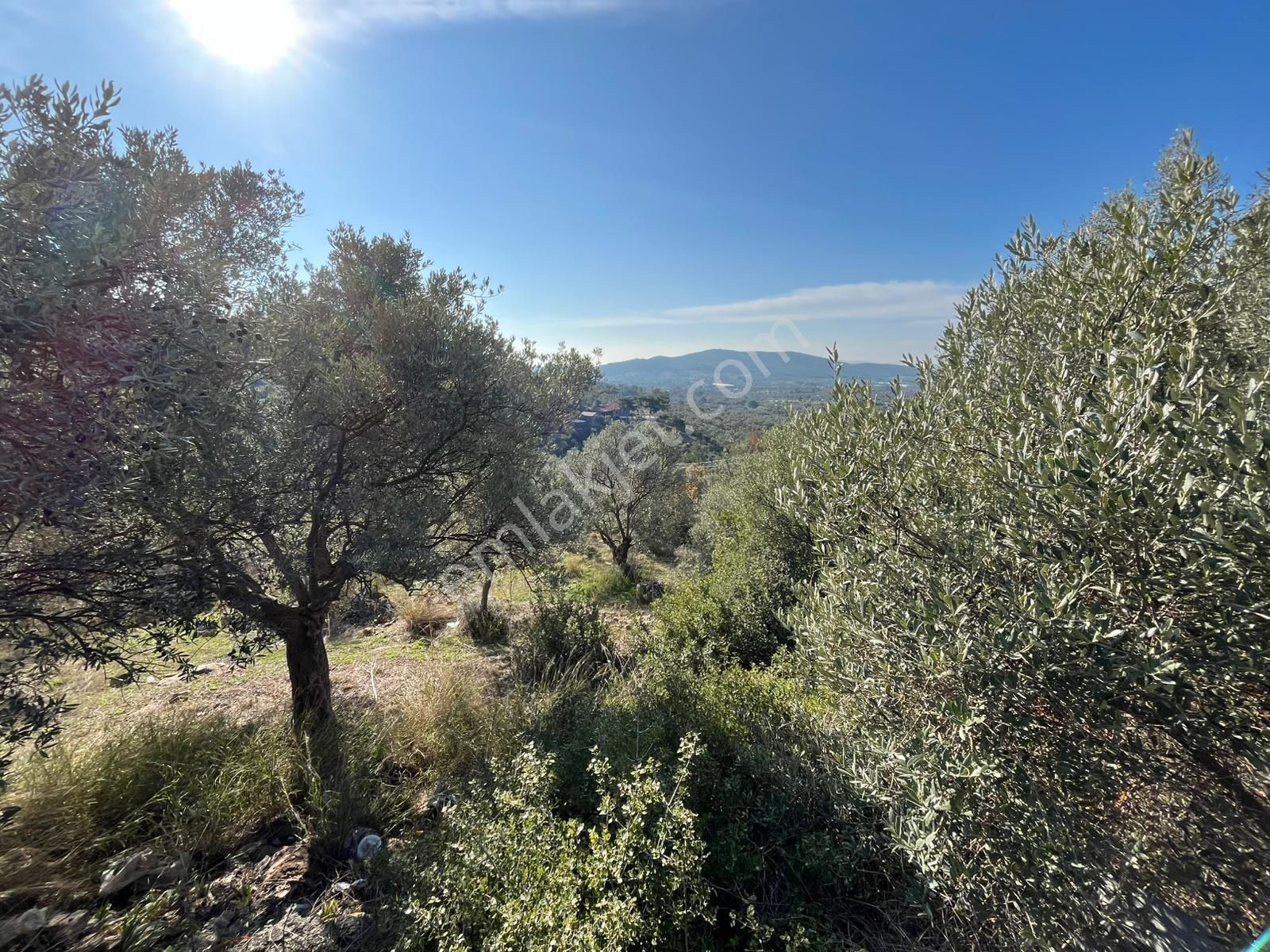 Öz-er Gayrimenkul’den | Köy İçinde, Doğa Manzaralı Satılık Tarla - Görsel 5