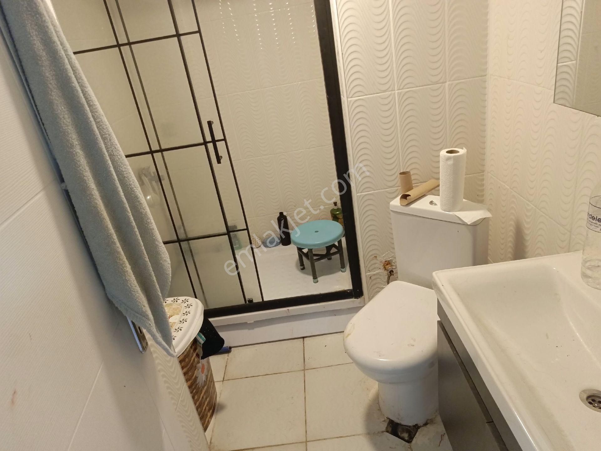 5+2 Tapulu Dubleks 250 M² Manzala - Görsel 10