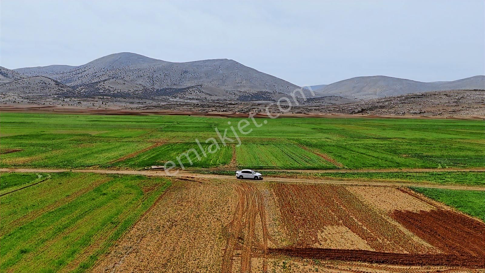 Korkuteli İmecik Mah.de Resmi Yolu Mevcut 541 M2 Satılık Tarla - Görsel 5