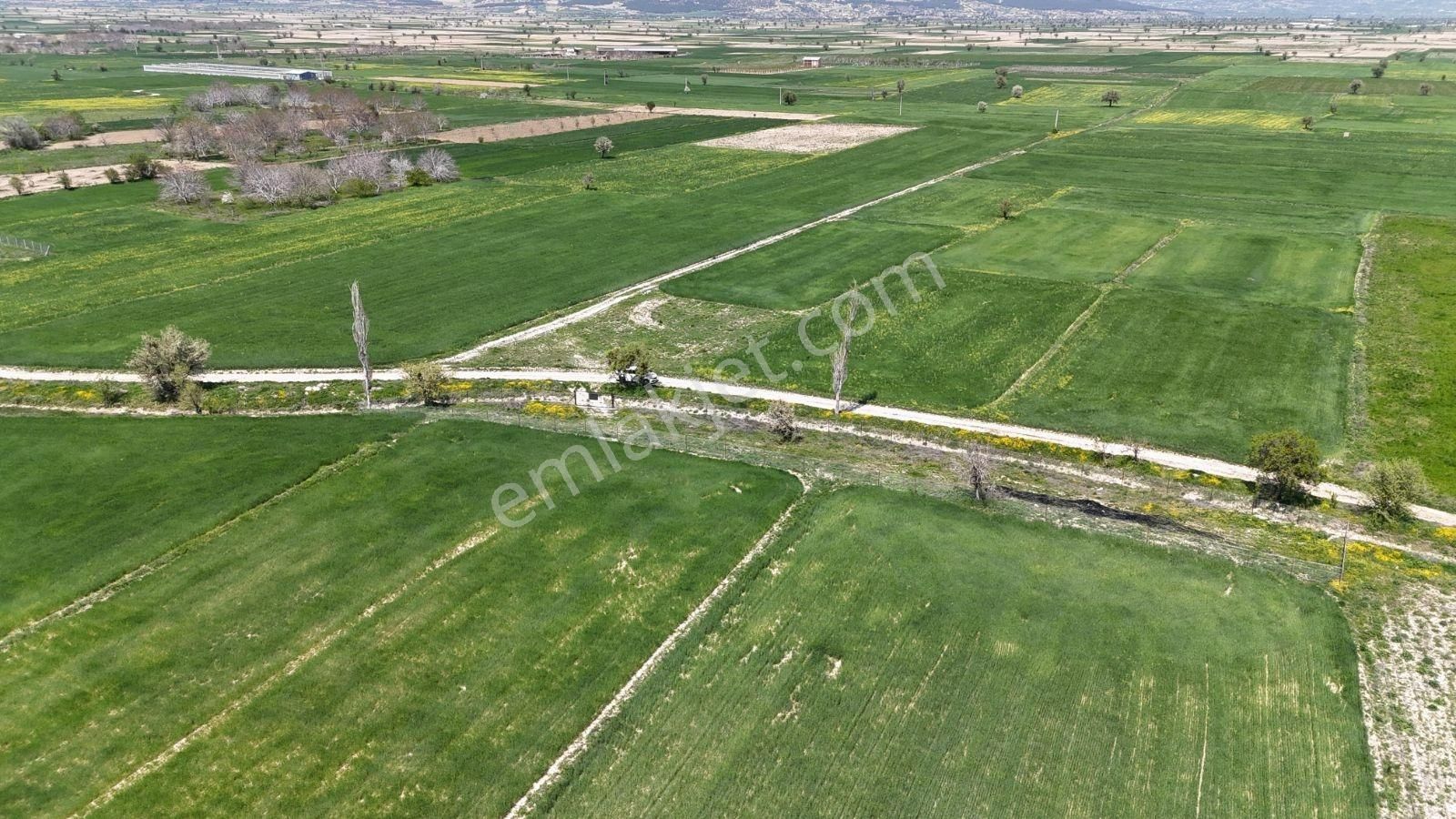 Çomaklı Yerleşim Yeri Yakını - Görsel 7