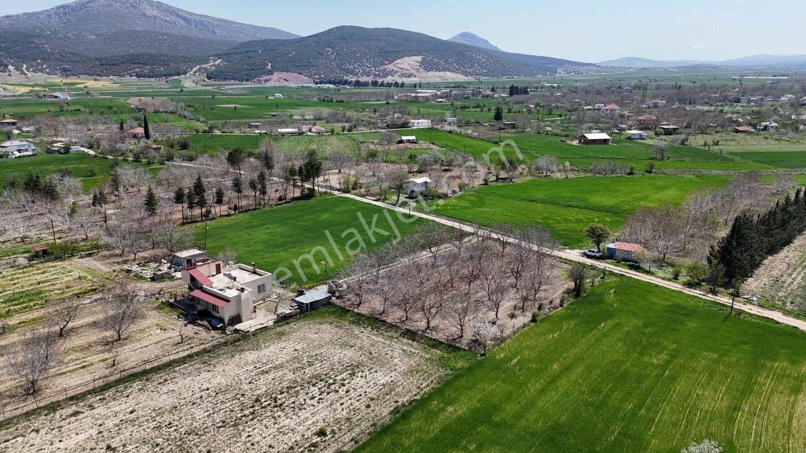 Çomaklı Yerleşim Yeri Yakını - Görsel 4