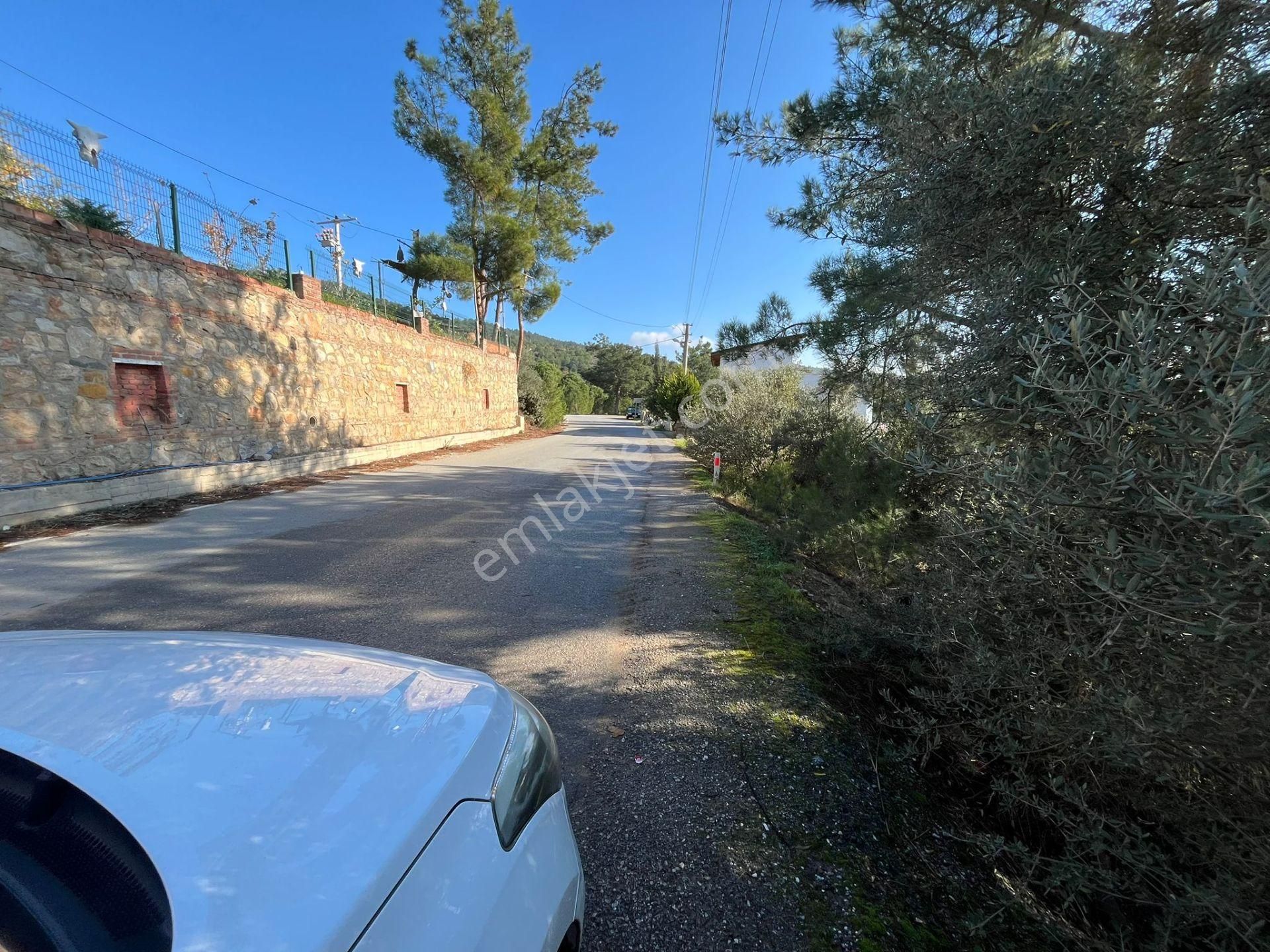 Öz-er Gayrimenkul’den | Caddeye Sıfır, Köy İçinde Manzaralı Tarla - Görsel 3