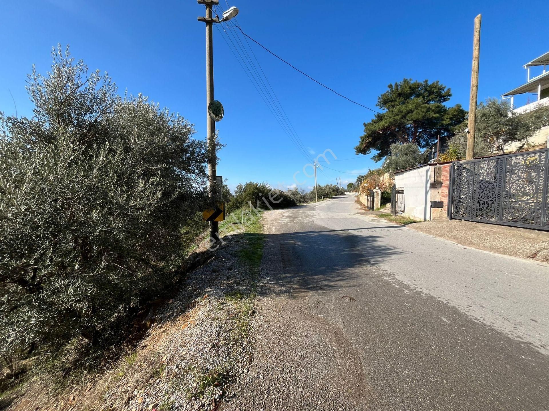 Öz-er Gayrimenkul’den | Caddeye Sıfır, Köy İçinde Manzaralı Tarla - Görsel 6