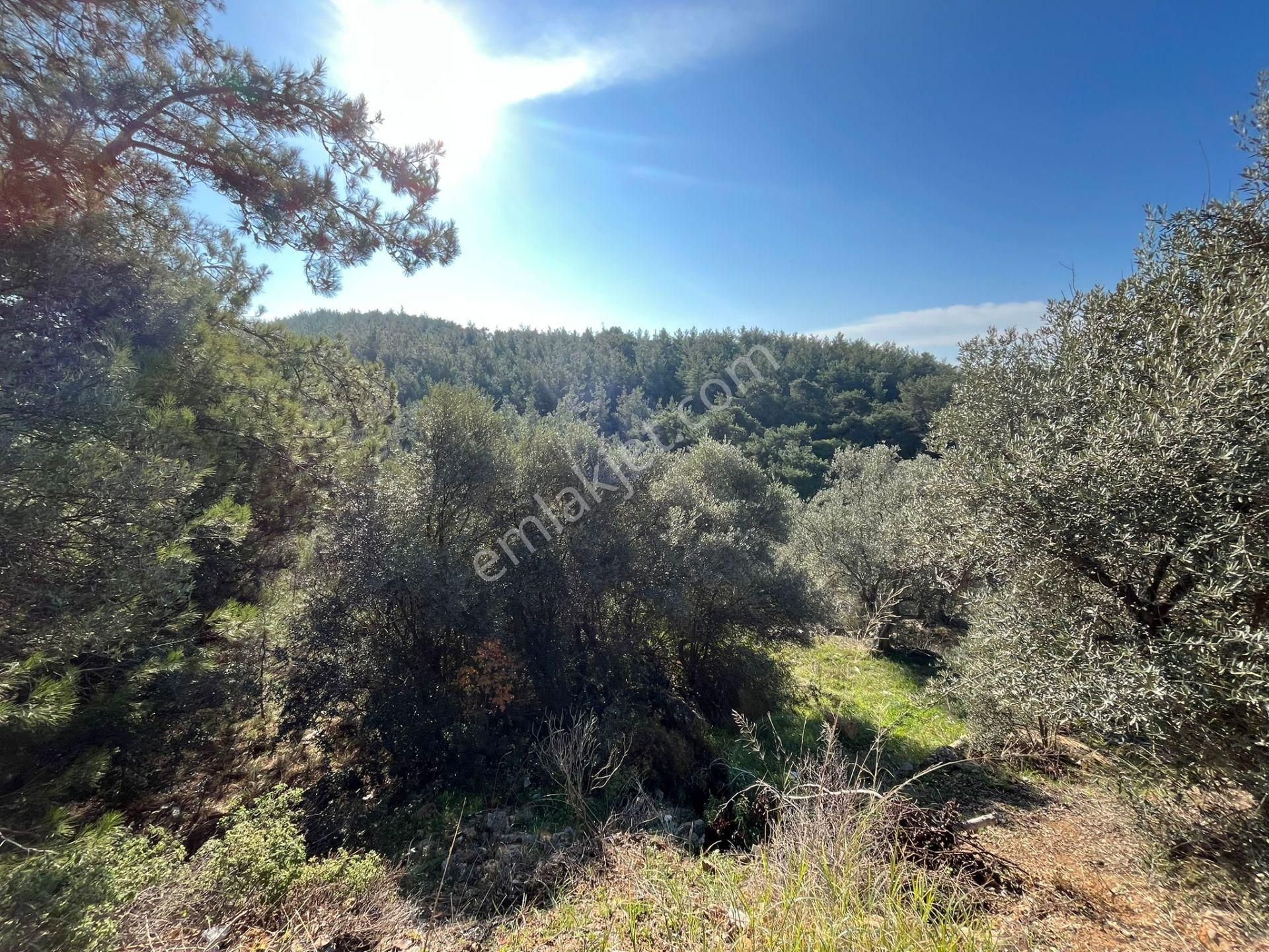 Öz-er Gayrimenkul’den | Caddeye Sıfır, Köy İçinde Manzaralı Tarla - Görsel 5