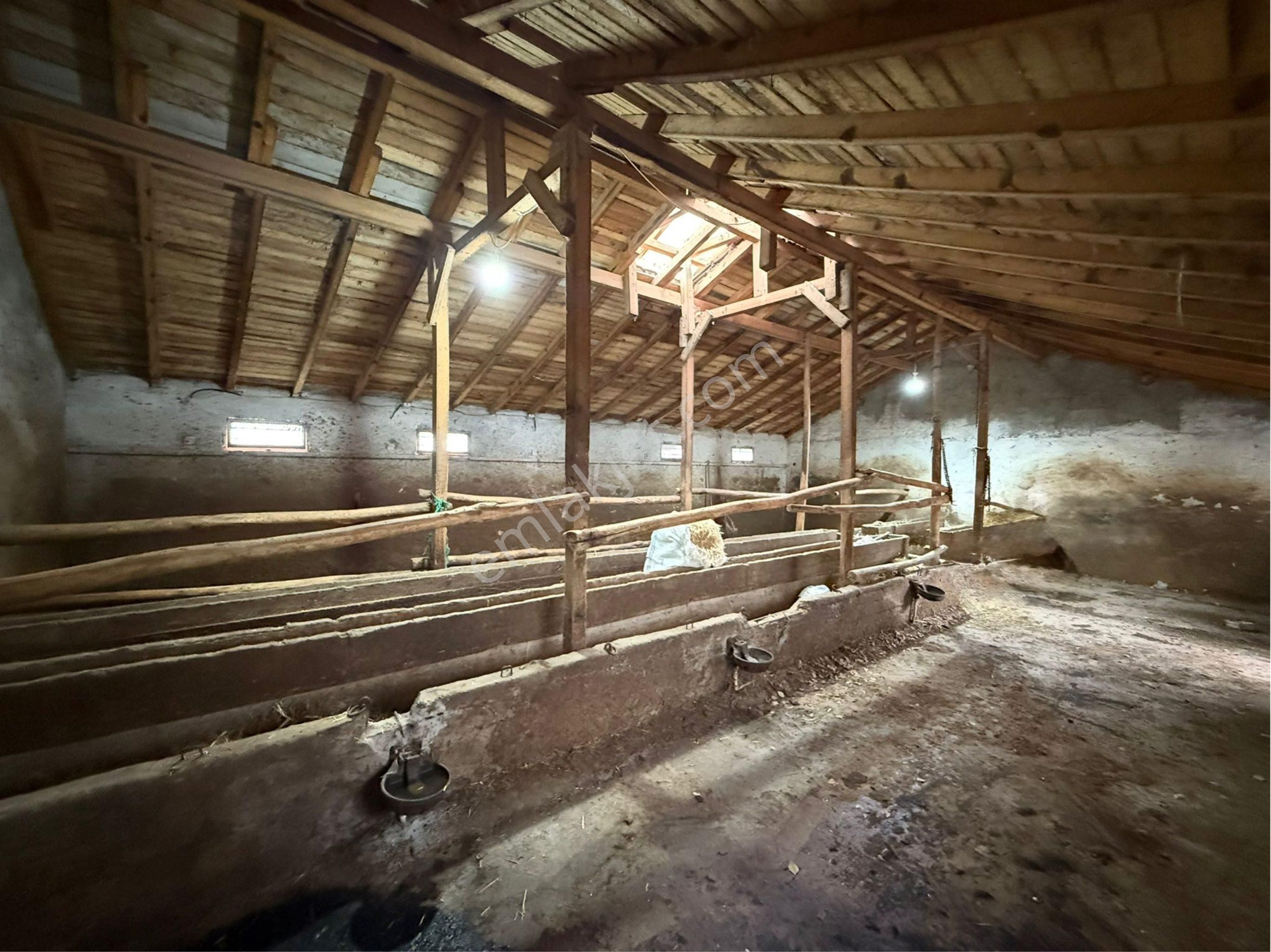 A-k Emlaktan Adsızda Toplam 1045 M2 Satılık Çiftlik - Görsel 16