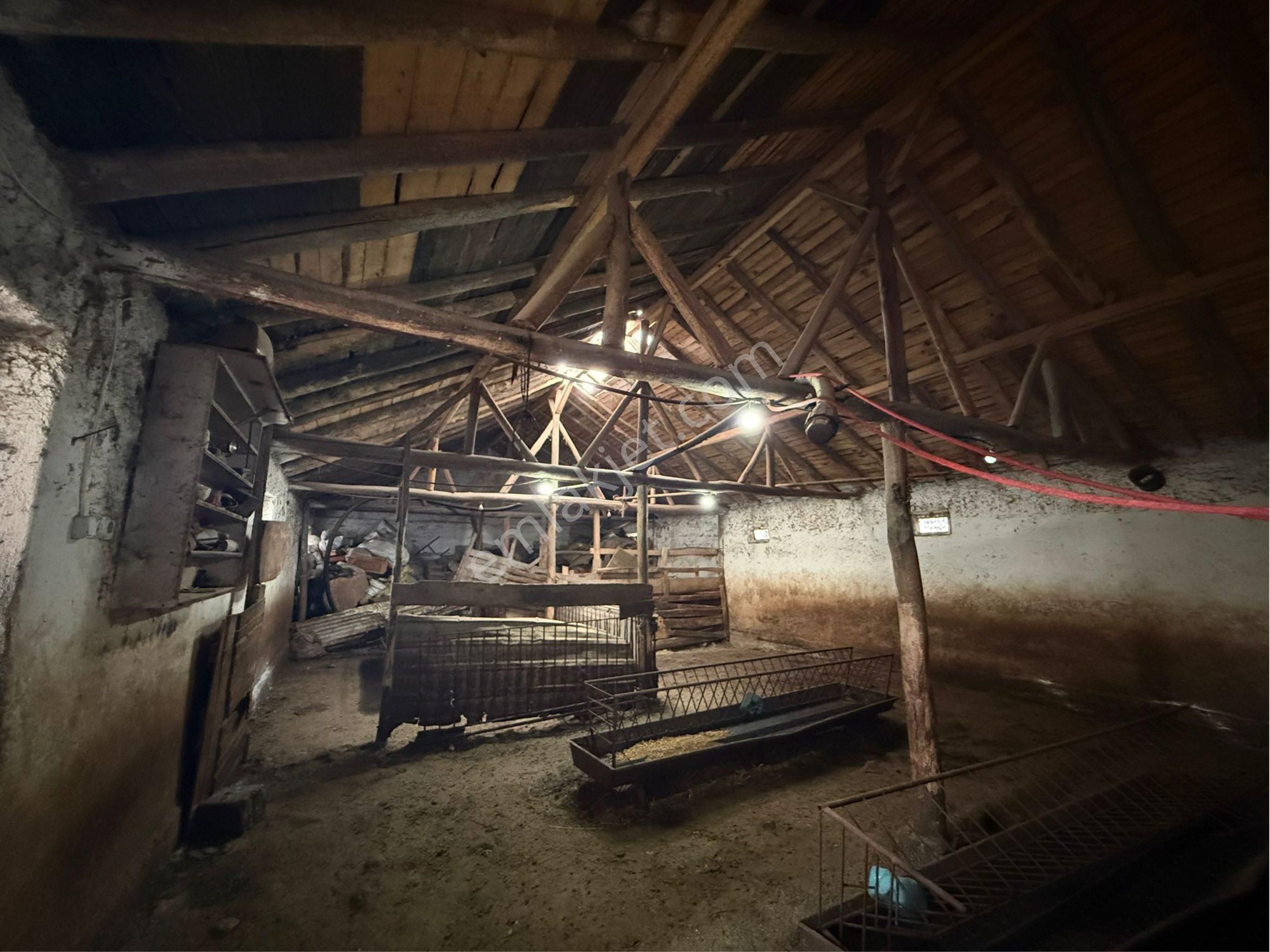 A-k Emlaktan Adsızda Toplam 1045 M2 Satılık Çiftlik - Görsel 24