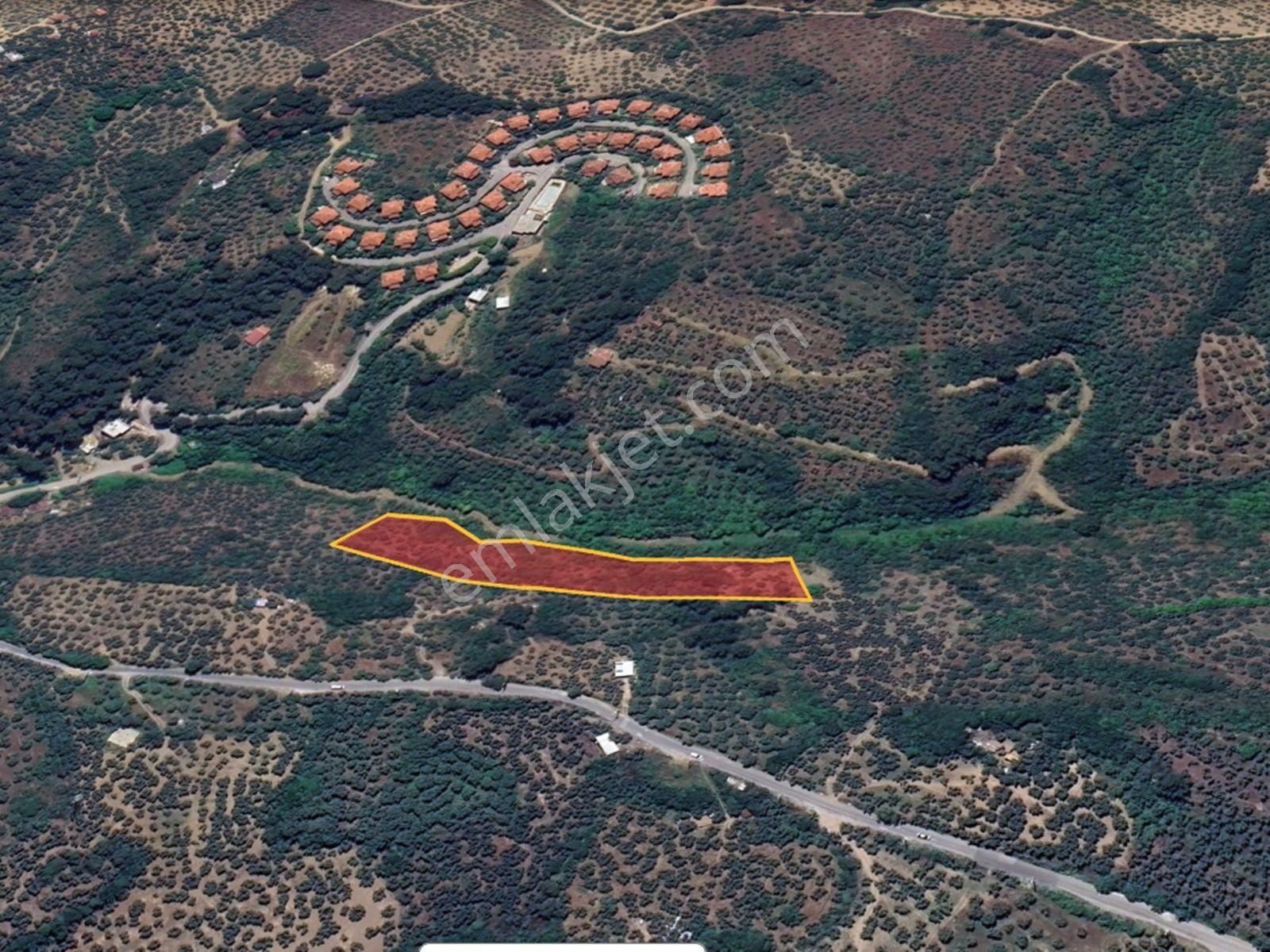 Mudanya Musabey Şükrüçavuşta Satılık Zeytinlik - Görsel 11