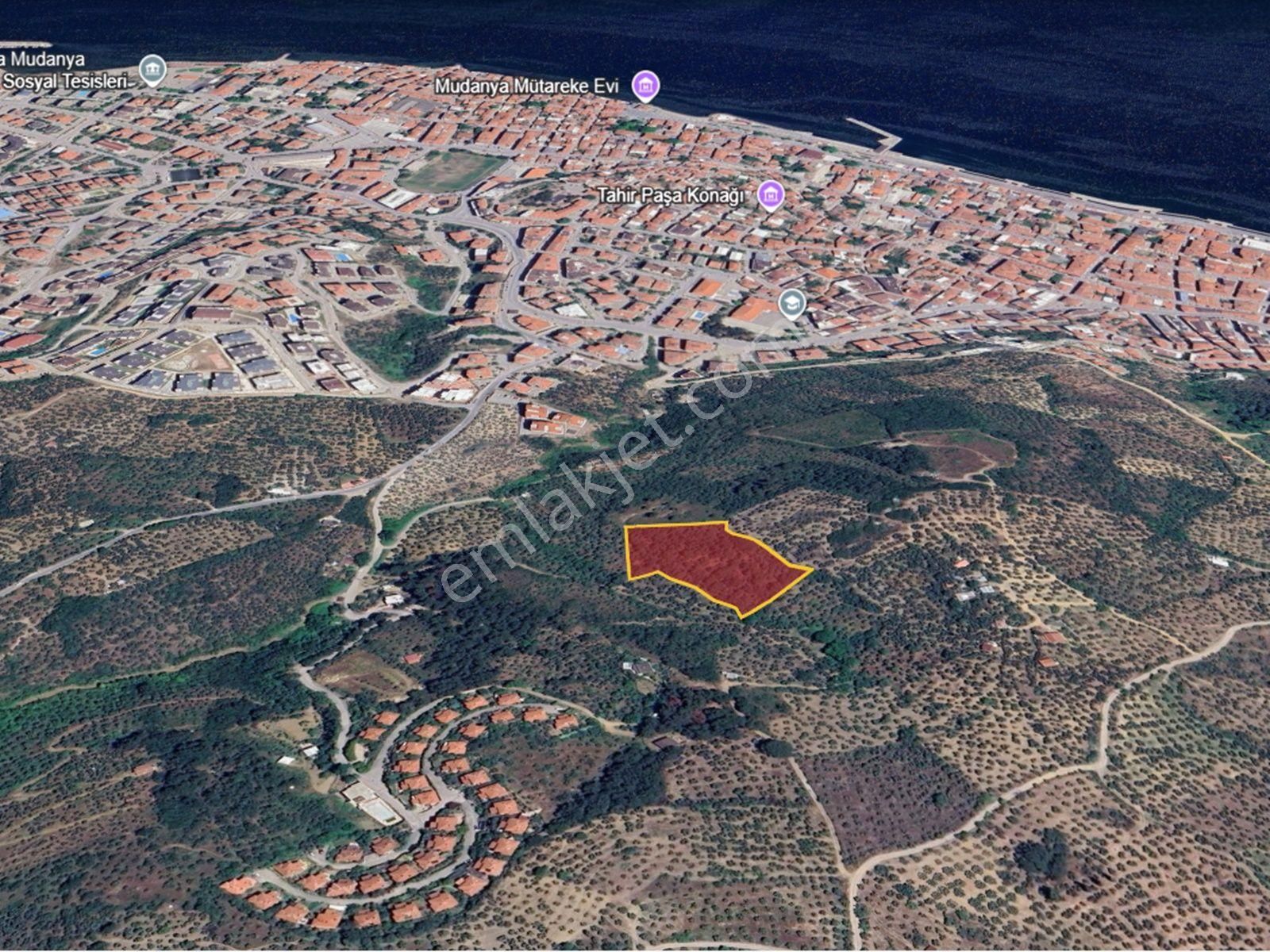 Mudanya Hasanbey De Deniz Manzaralı Satılık Zeytinlik - Görsel 3
