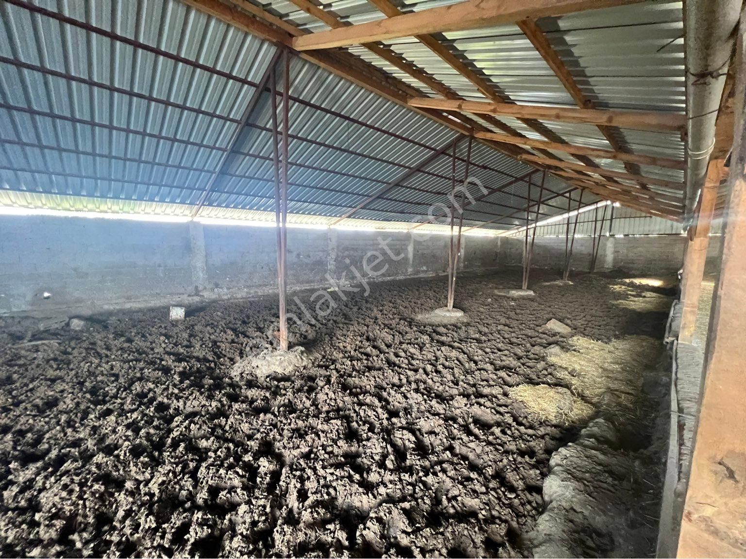 A-k Emlaktan Karabulutta Toplam 2000 M2 Yaklaşık 700 M2 Kapalı Alanı Olan Çiftlik - Görsel 8