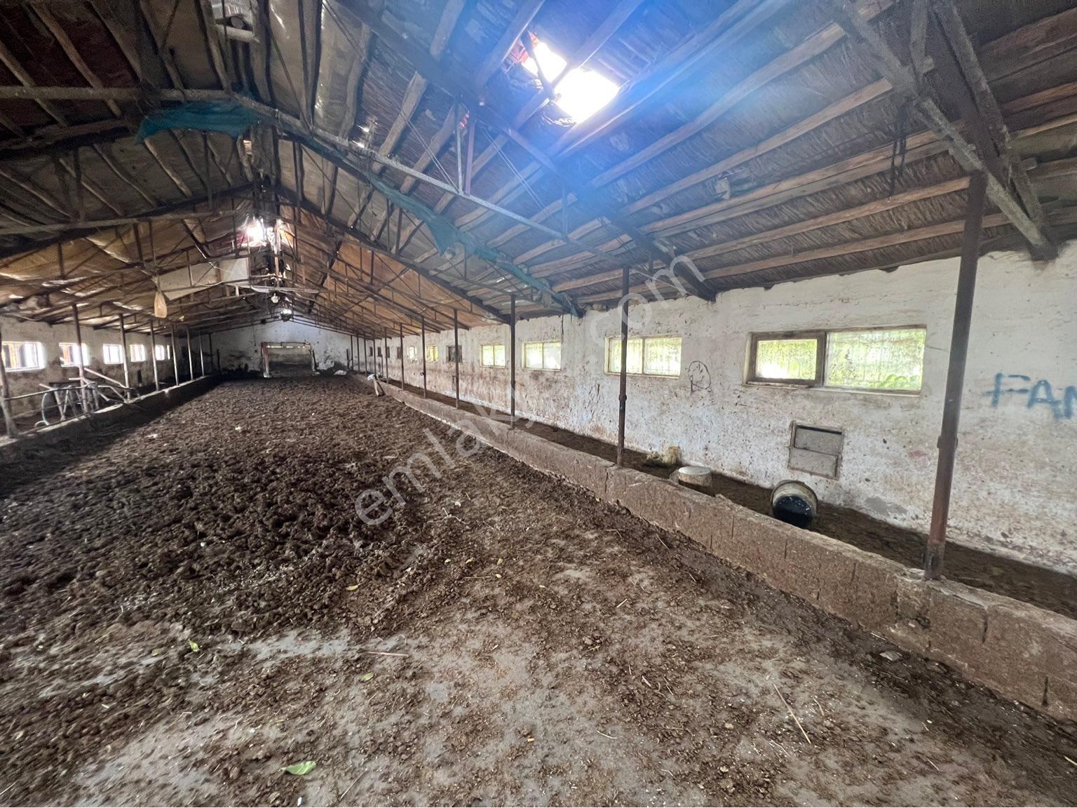 A-k Emlaktan Karabulutta Toplam 2000 M2 Yaklaşık 700 M2 Kapalı Alanı Olan Çiftlik - Görsel 23