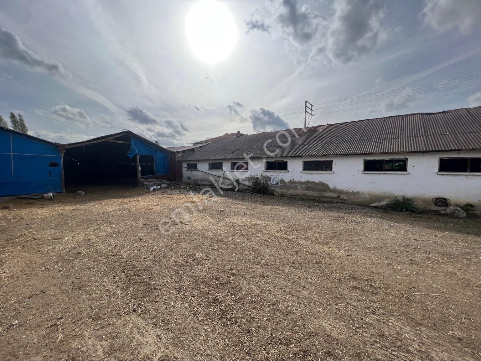 A-k Emlaktan Karabulutta Toplam 2000 M2 Yaklaşık 700 M2 Kapalı Alanı Olan Çiftlik - Görsel 12