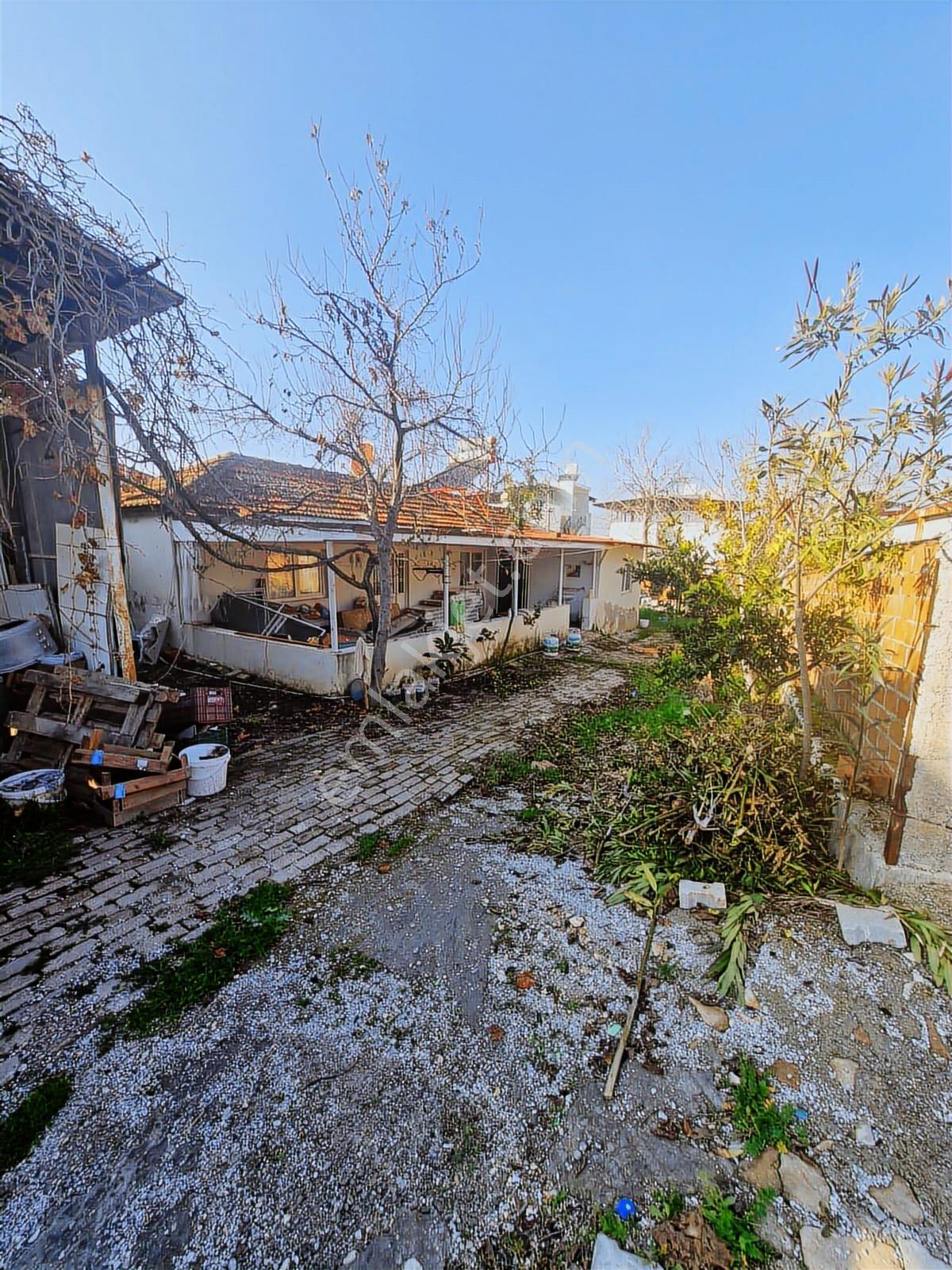 Didim Akyeniköyde Kat Karşılığına Uygun 750 M²iki Tapulu Fırsat - Görsel 16