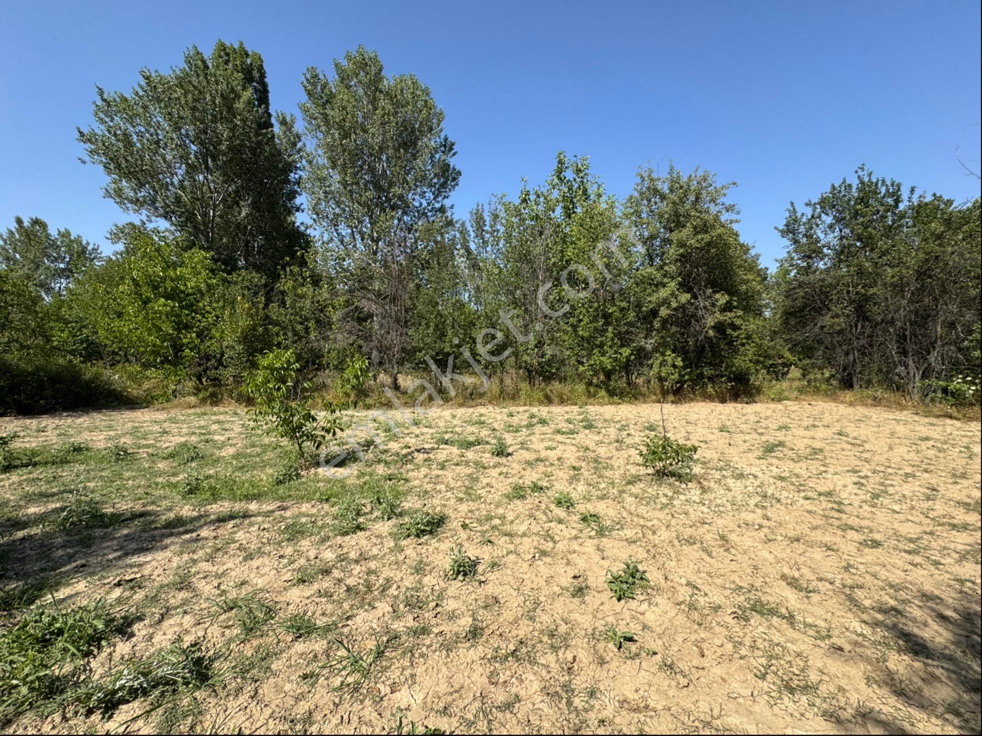 A-k Emlaktan Doğrugözde 500 M2 Süper Hobi Bahçesi - Görsel 8