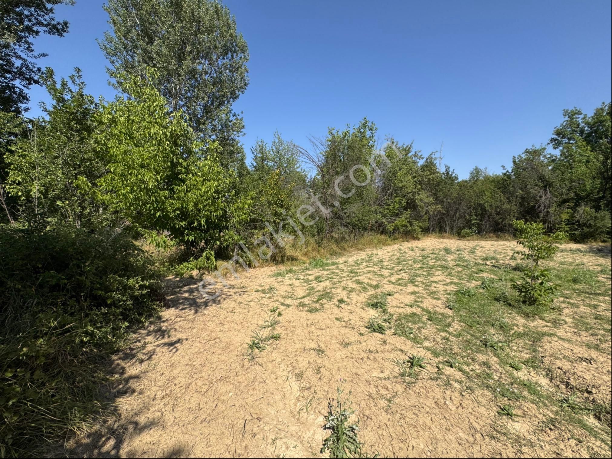 A-k Emlaktan Doğrugözde 500 M2 Süper Hobi Bahçesi - Görsel 6