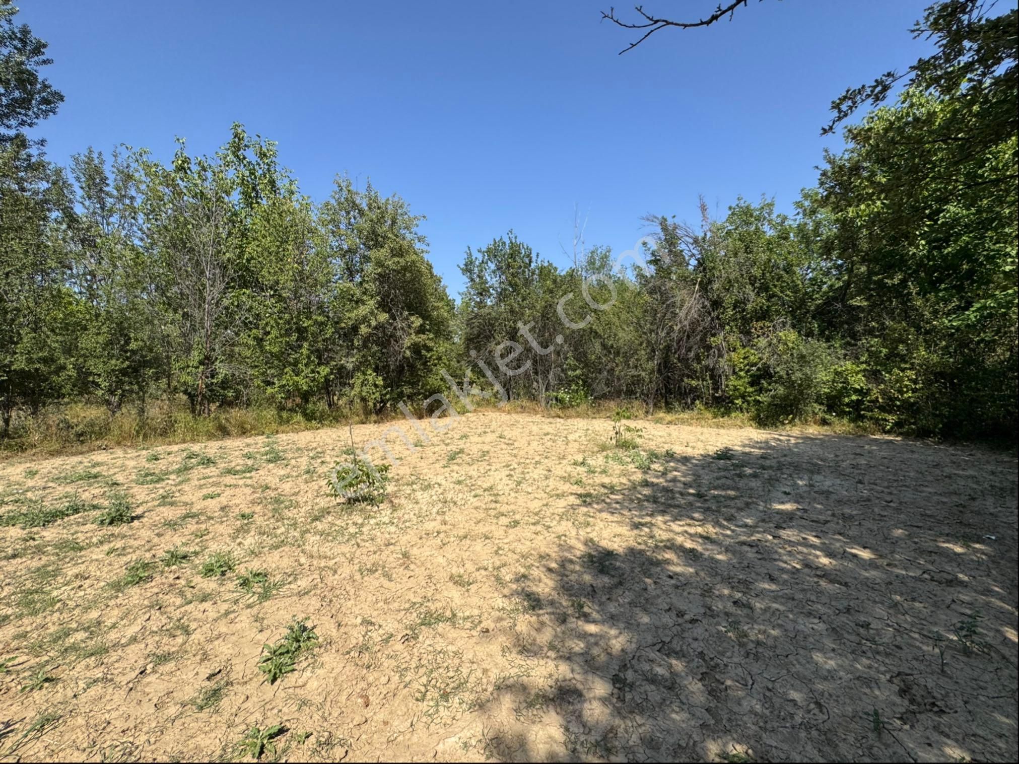 A-k Emlaktan Doğrugözde 500 M2 Süper Hobi Bahçesi - Görsel 7