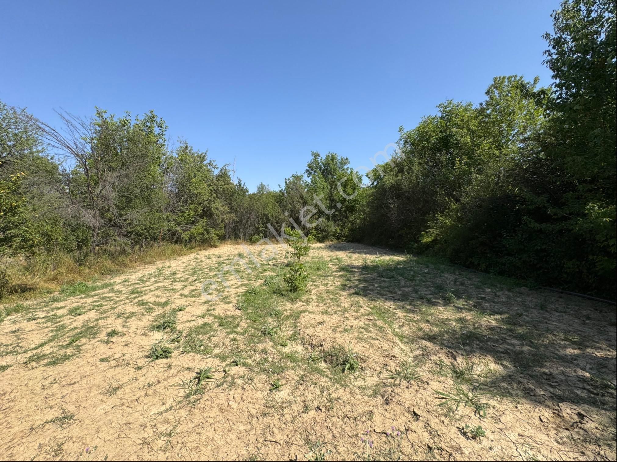 A-k Emlaktan Doğrugözde 500 M2 Süper Hobi Bahçesi