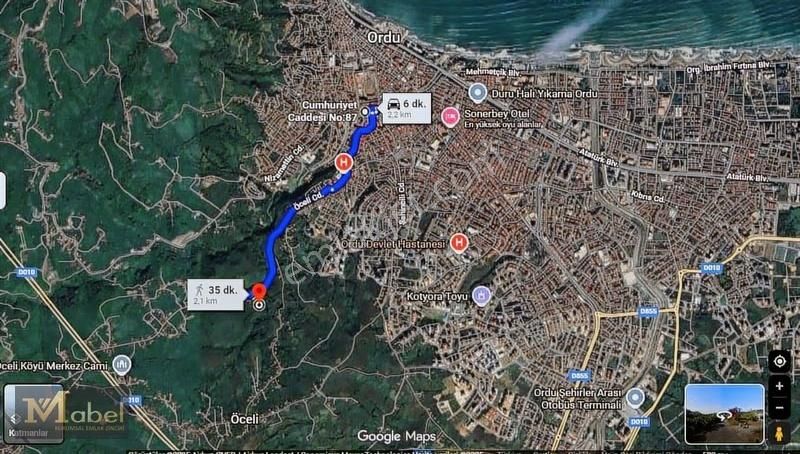 Mabel Gayrimenkul-öceli'de Ordu Merkeze Çok Yakın Fındık Bahçesi