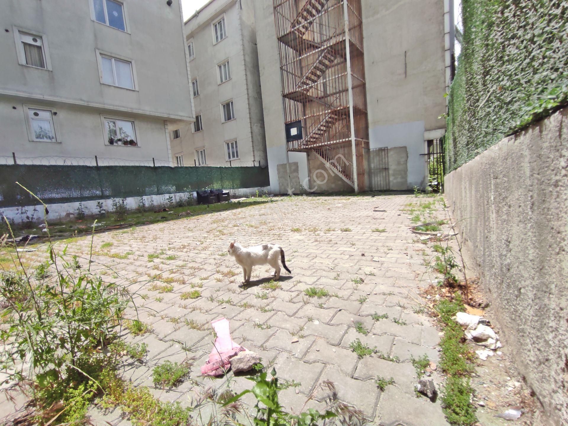 Esenyurt Fatih Mah 19,mayıs Bulvarı Üstünde 273,m2-ticari Arsa - Görsel 9