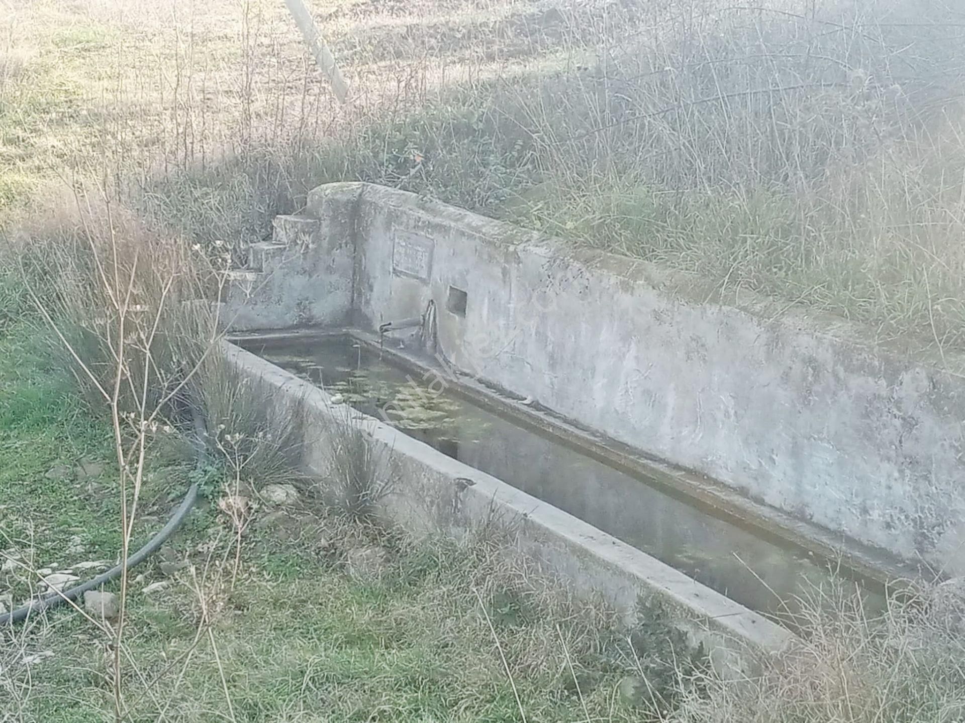 Yenişehir Kızılhisar'da 5843,m2 Suyu Olan Ceviz Bahçesi - Görsel 8