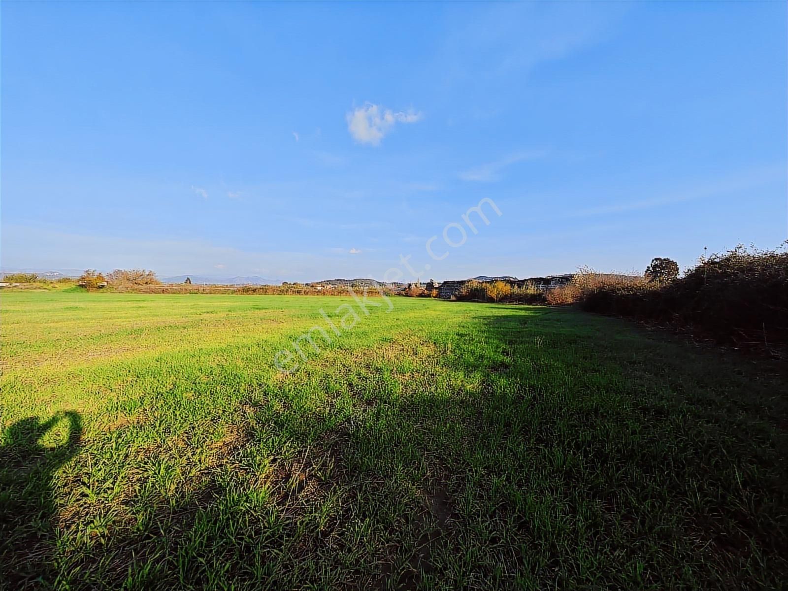 ** Satılık 3.313 M² Tarla - Görsel 19