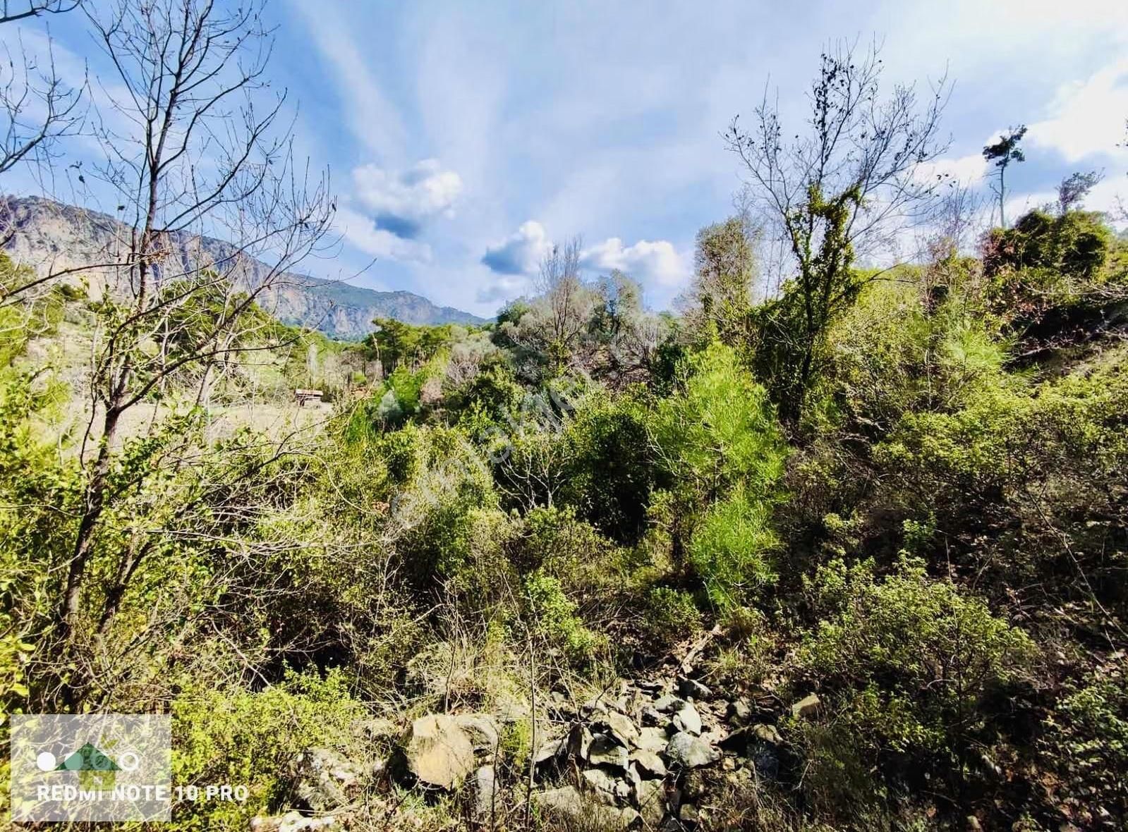 Muğla Dalaman Elcik Köyünde Satılık Müstakil Tarla - Görsel 2