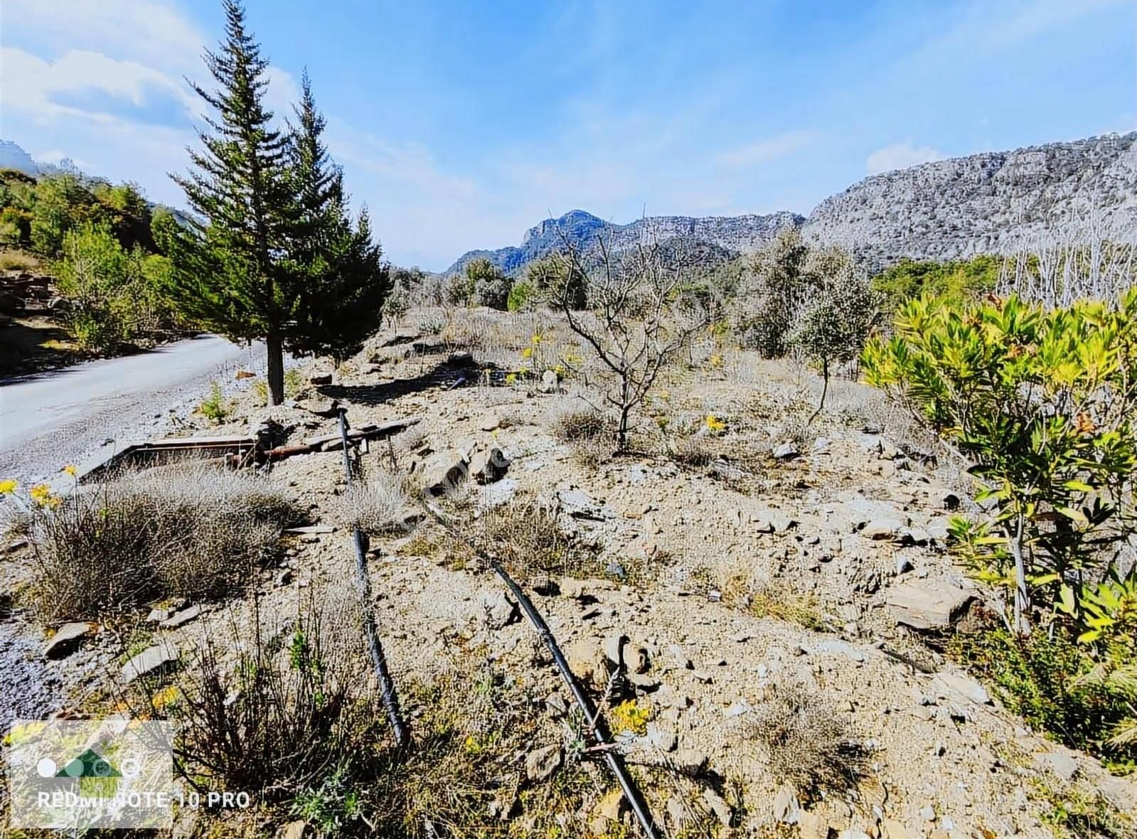 Muğla Dalaman Elcik Köyünde Satılık Müstakil Tarla - Görsel 3