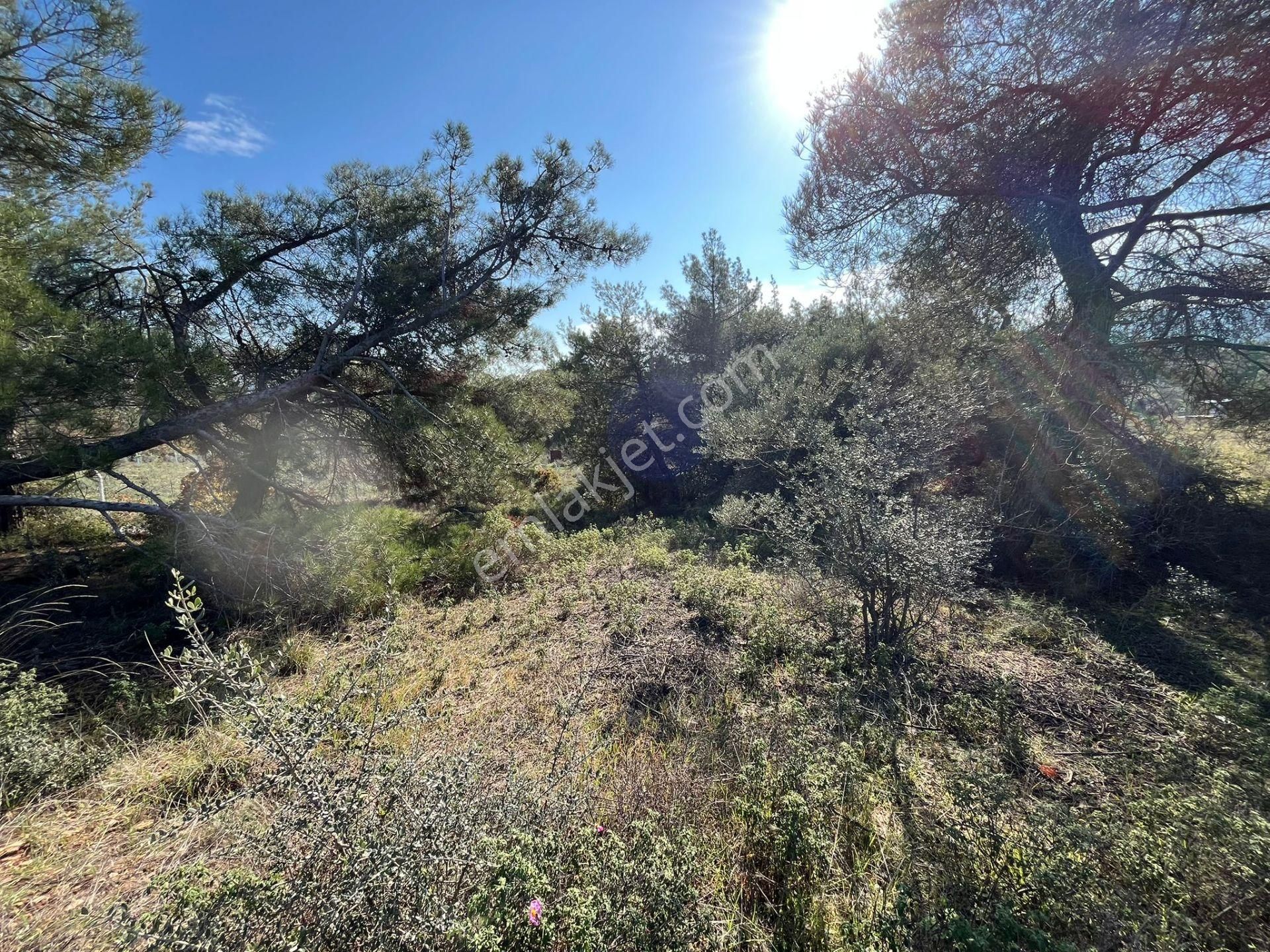 Öz-er Gayrimenkul’den Satılık Kadastro Yoluna Sıfır, Dirmil’de Manzaralı Tarla - Görsel 5