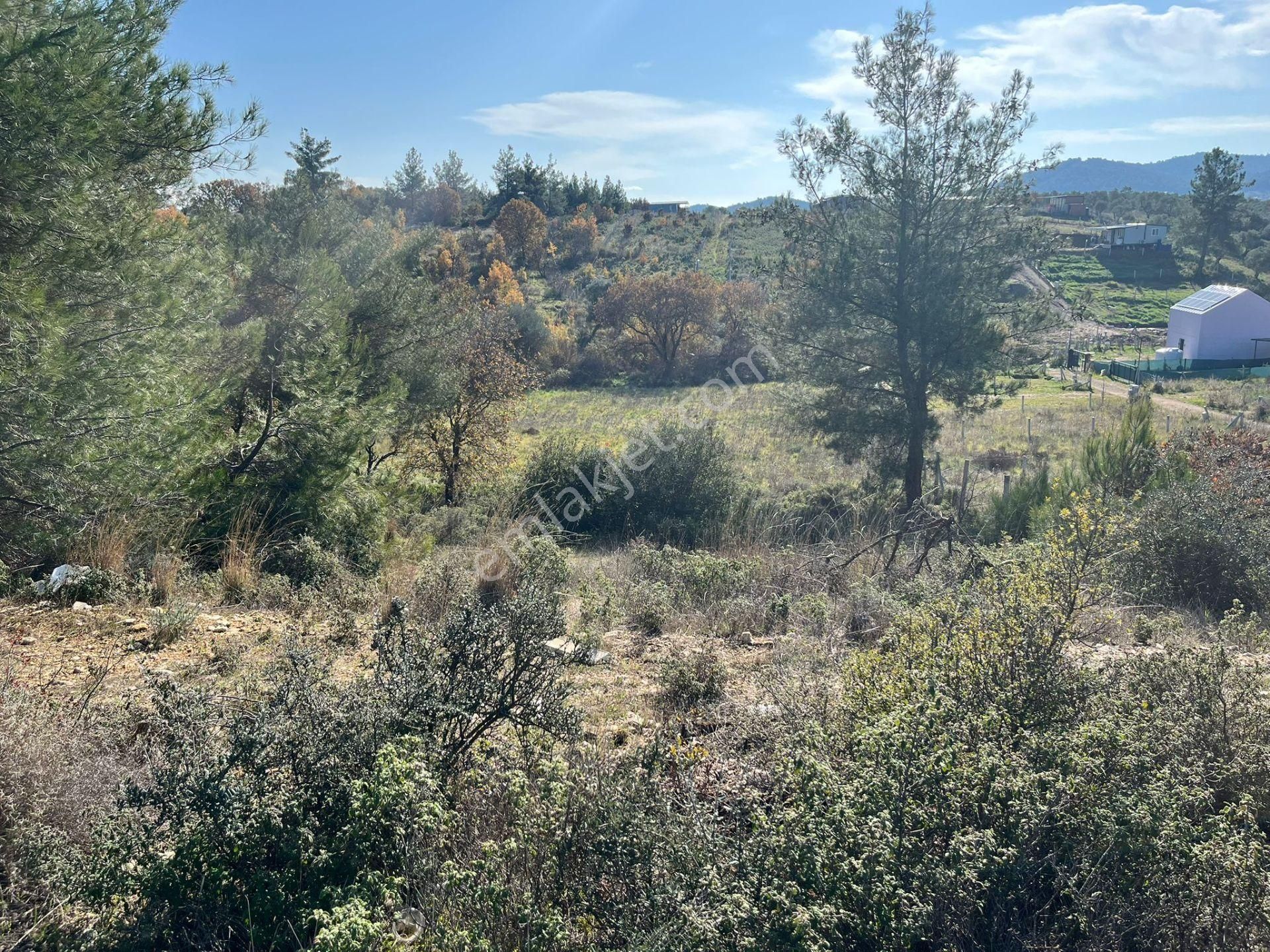 Öz-er Gayrimenkul’den Satılık Kadastro Yoluna Sıfır, Dirmil’de Manzaralı Tarla - Görsel 3