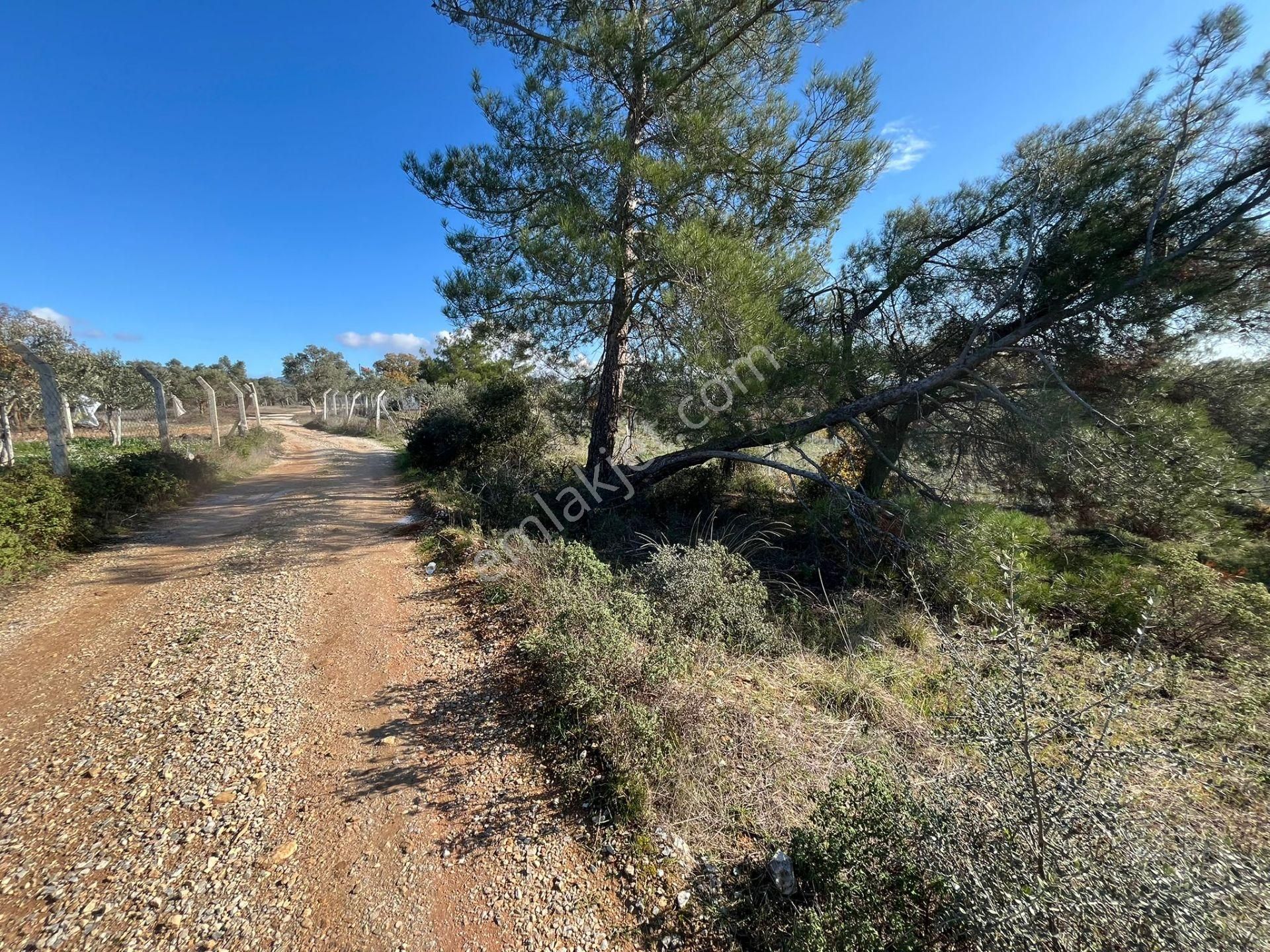 Öz-er Gayrimenkul’den Satılık Kadastro Yoluna Sıfır, Dirmil’de Manzaralı Tarla - Görsel 6