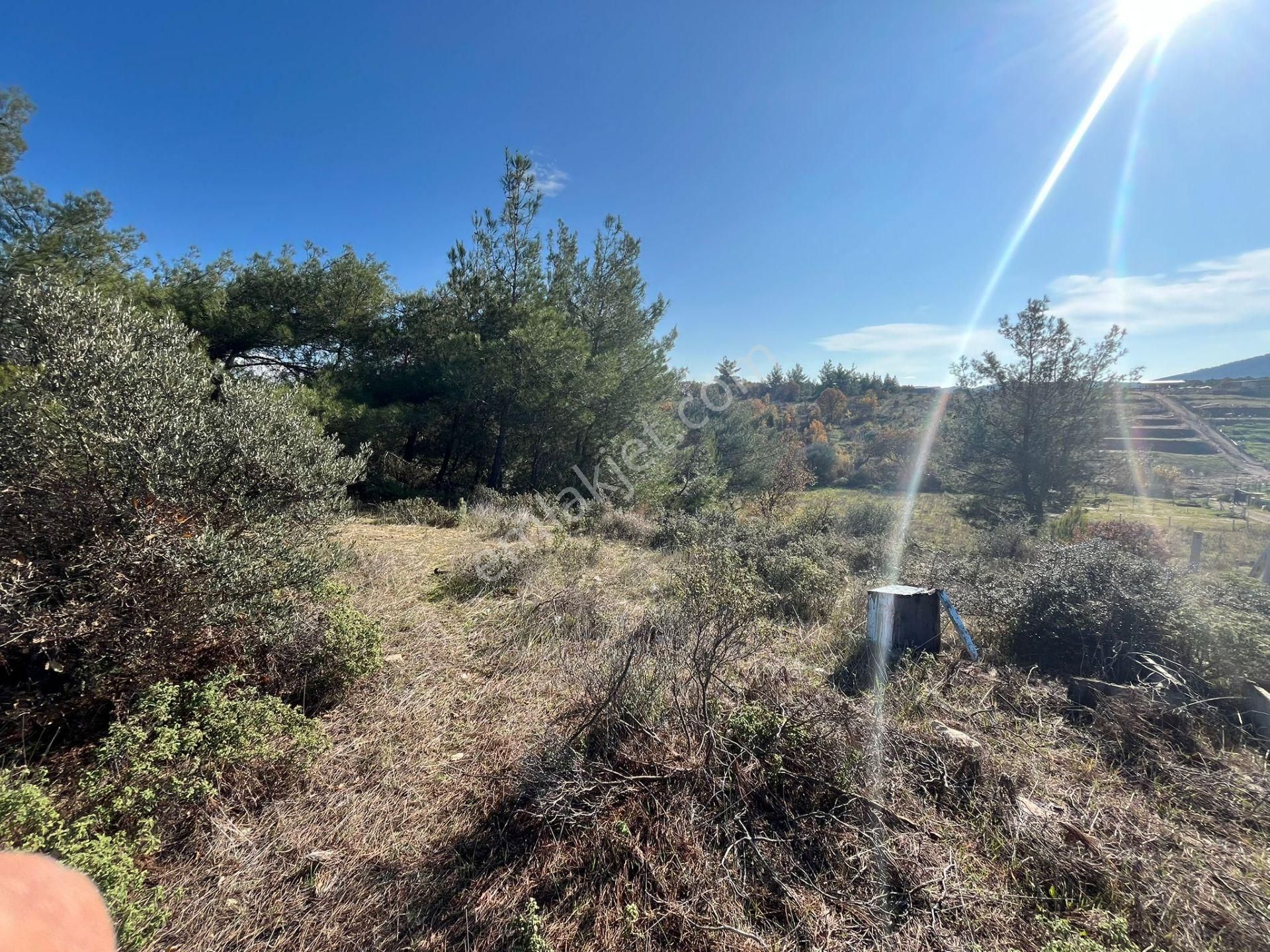 Öz-er Gayrimenkul’den Satılık Kadastro Yoluna Sıfır, Dirmil’de Manzaralı Tarla - Görsel 9