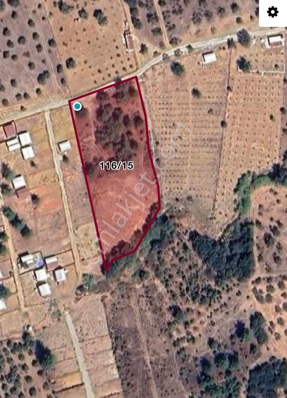 Öz-er Gayrimenkul’den Satılık Kadastro Yoluna Sıfır, Dirmil’de Manzaralı Tarla - Görsel 2