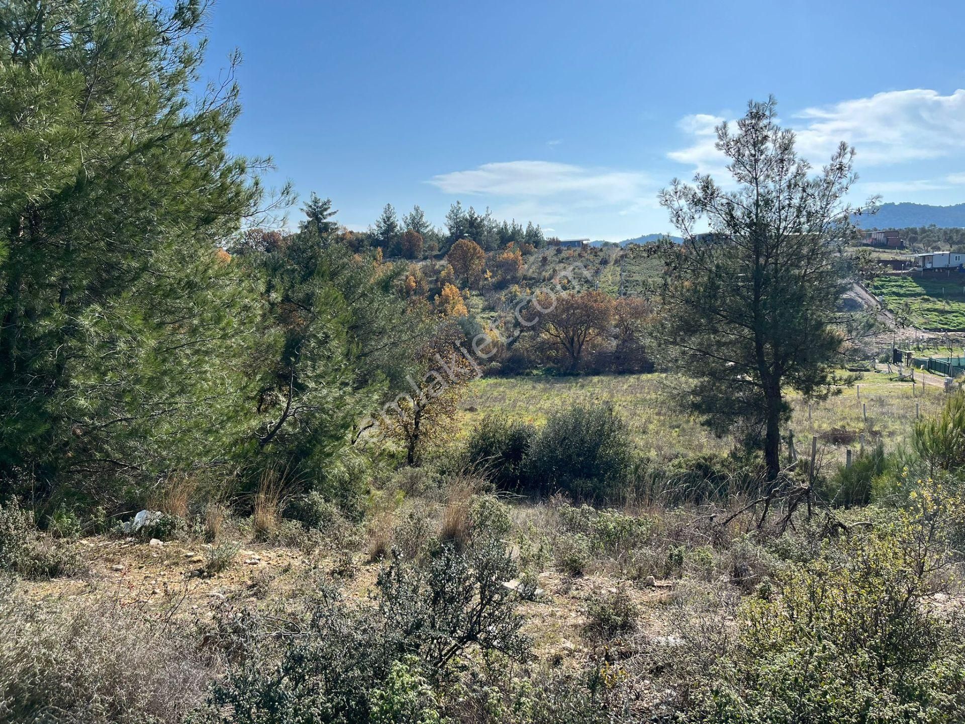 Öz-er Gayrimenkul’den Satılık Kadastro Yoluna Sıfır, Dirmil’de Manzaralı Tarla - Görsel 10