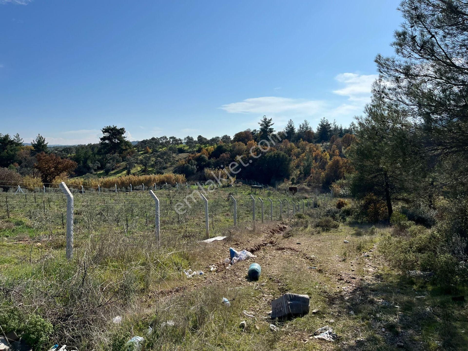 Öz-er Gayrimenkul’den Satılık Kadastro Yoluna Sıfır, Dirmil’de Manzaralı Tarla - Görsel 7