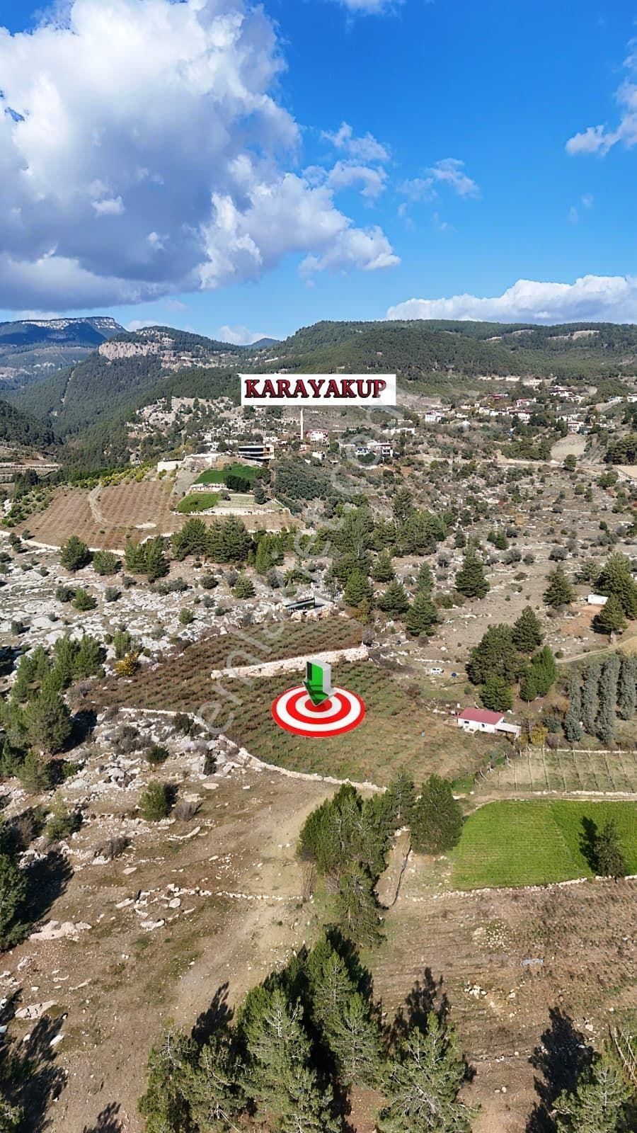 Thor'dan Satılık Erdemli-karayakup Köyünde Verimli Kivi Bahçesi! - Görsel 6