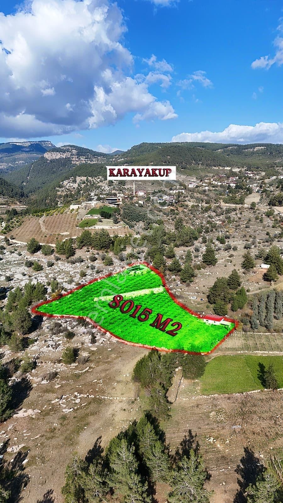 Thor'dan Satılık Erdemli-karayakup Köyünde Verimli Kivi Bahçesi! - Görsel 5