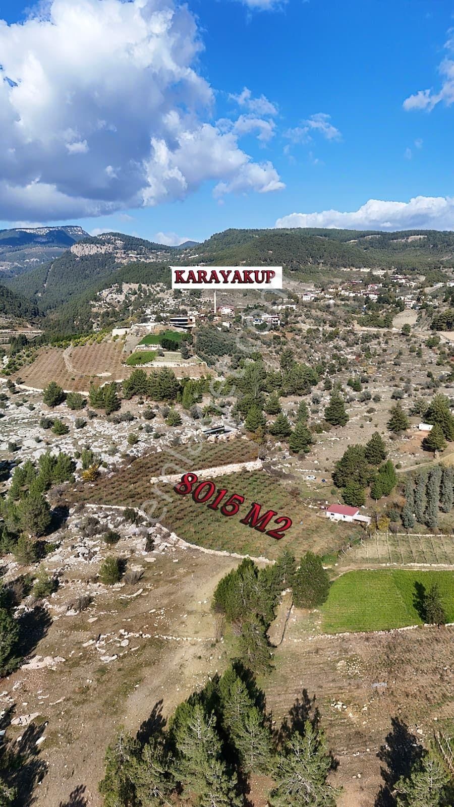 Thor'dan Satılık Erdemli-karayakup Köyünde Verimli Kivi Bahçesi! - Görsel 7