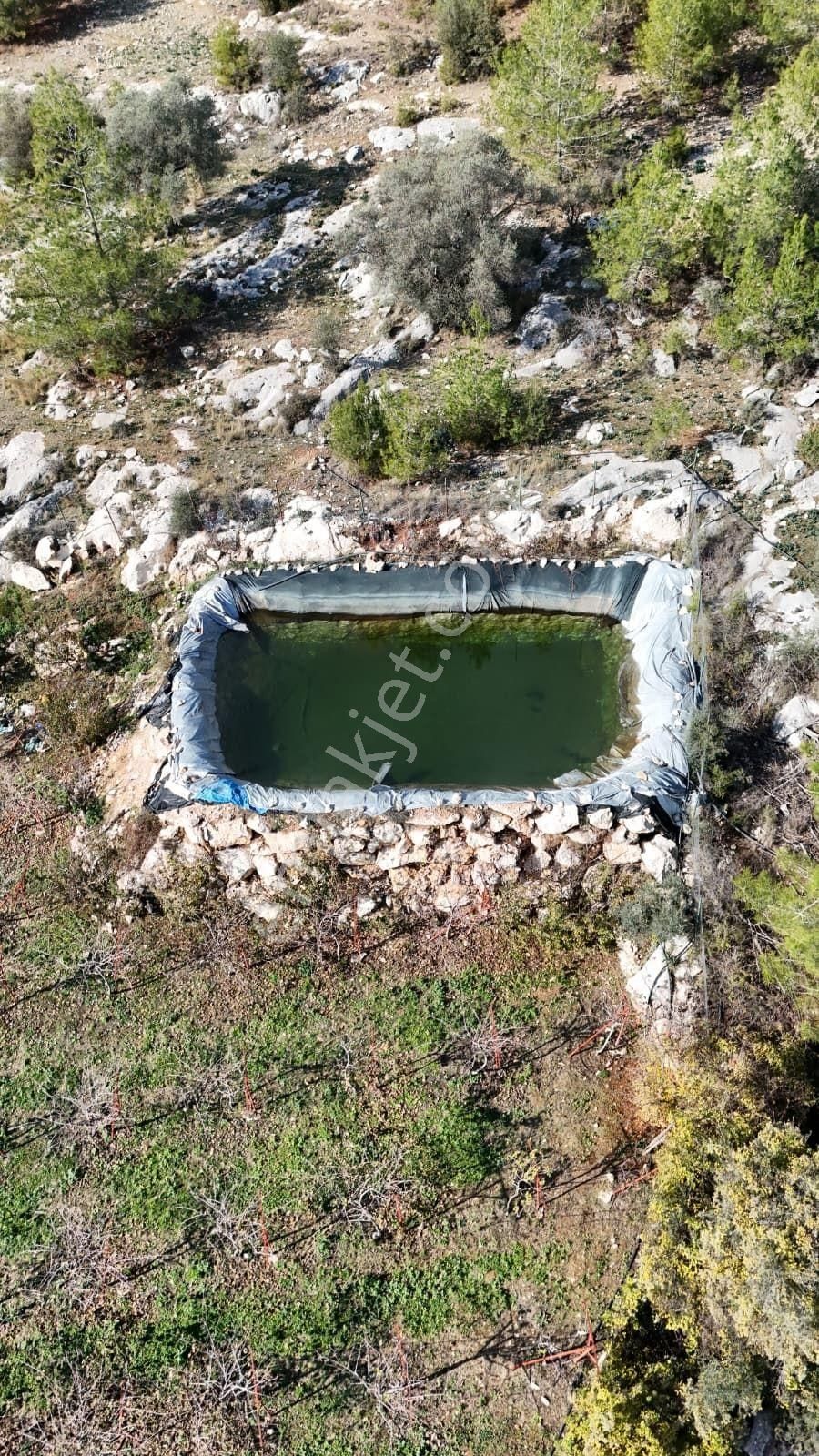 Thor'dan Satılık Erdemli-karayakup Köyünde Verimli Kivi Bahçesi! - Görsel 17