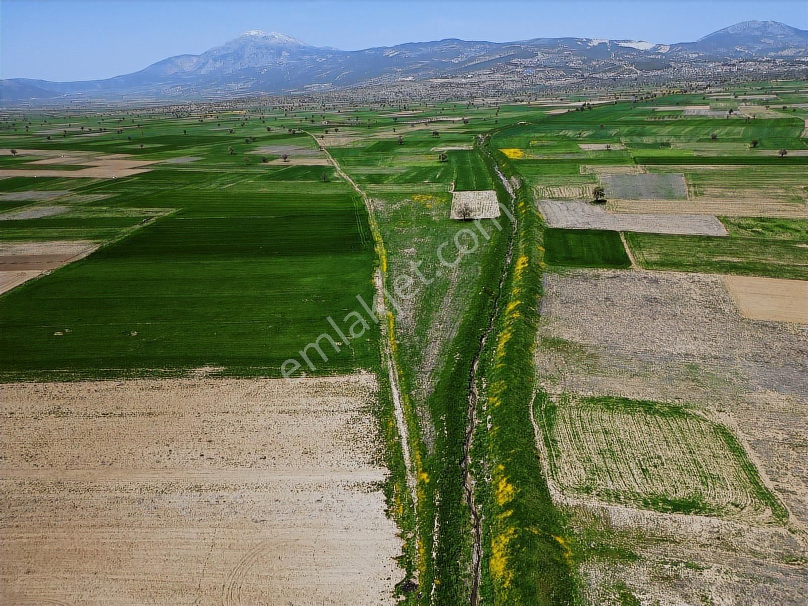 Net Premium'dan Serinhisar Yüreyil'de Satılık Tarla