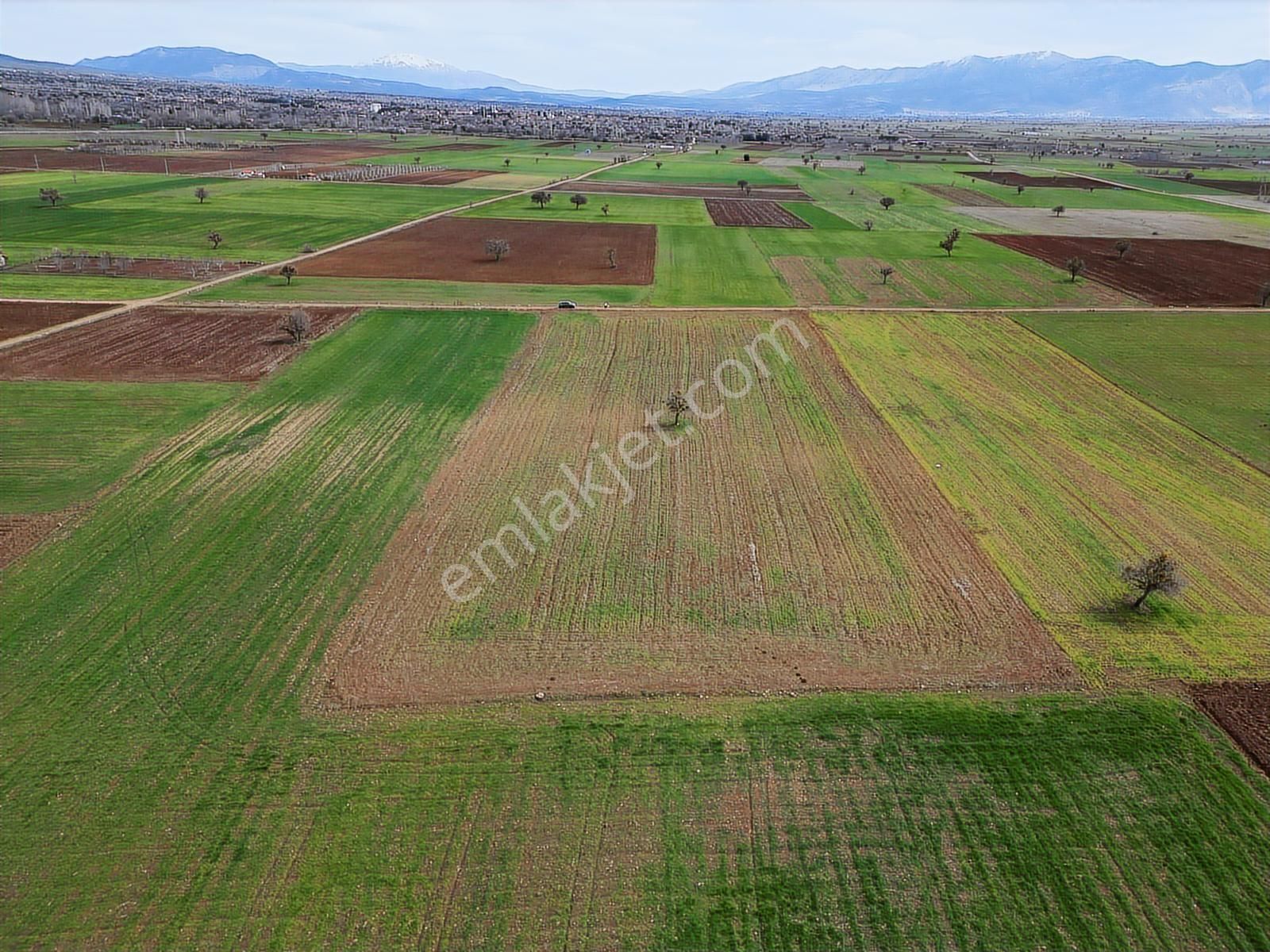 Net Premium'dan Tavas Karahisar'da Baraj Manzaralı Satılık Tarla - Görsel 6