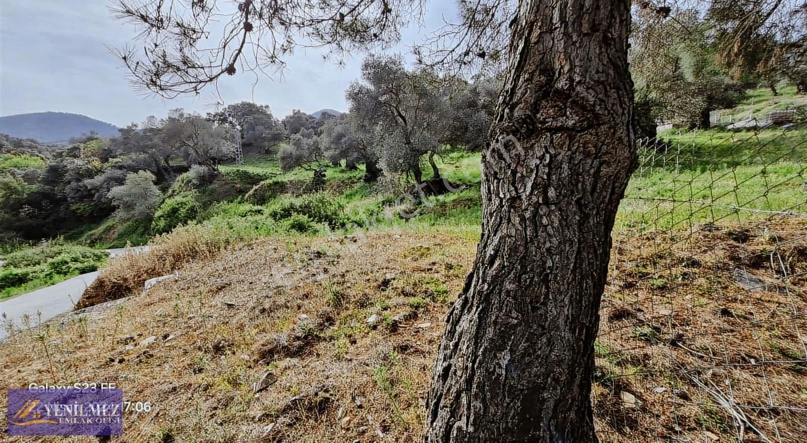 Yenilmez Emlaktan Satılık Asfalt Yol Cepheli Bahçe - Görsel 2