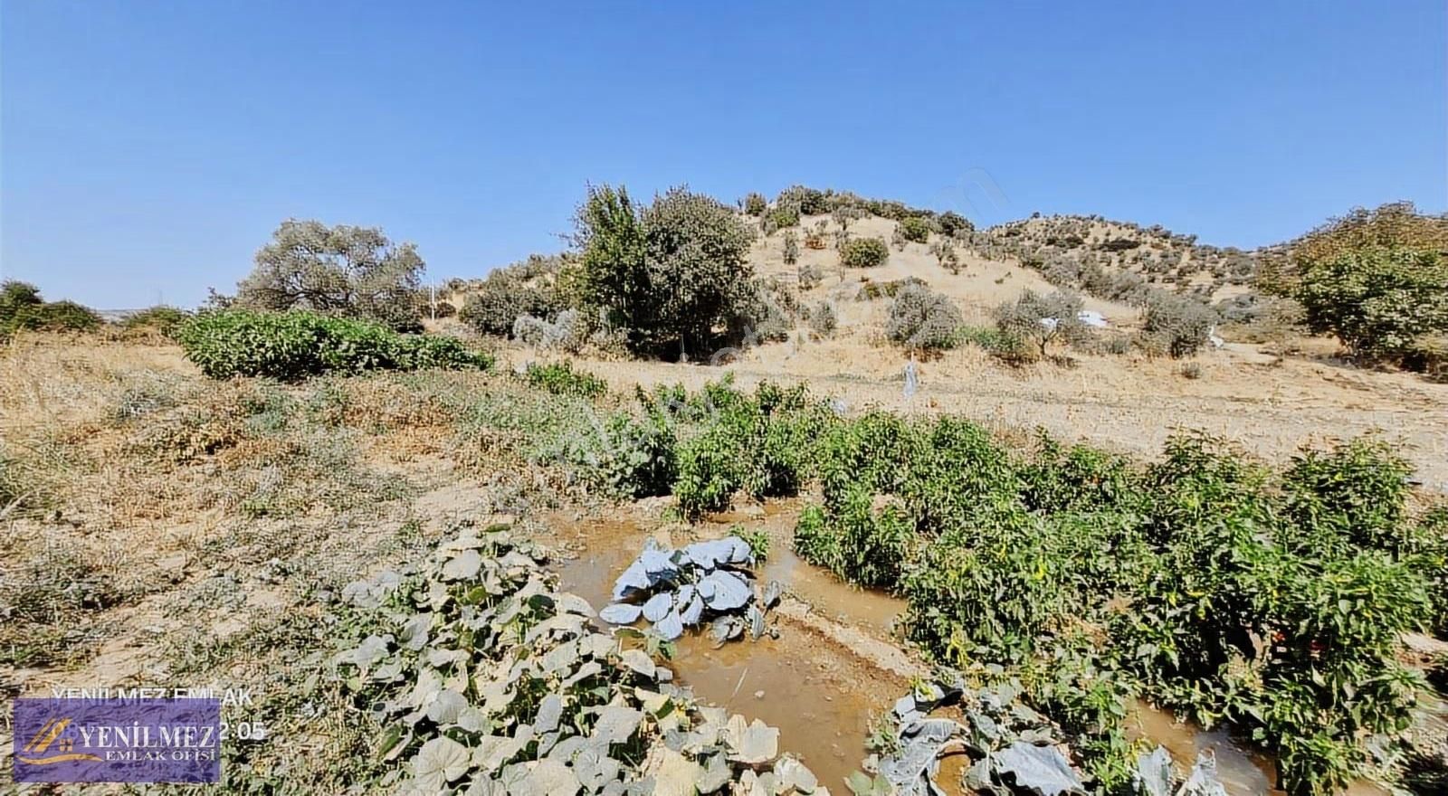 Tire Kocaaliler Mahallesi Satılık Bahçe - Görsel 5