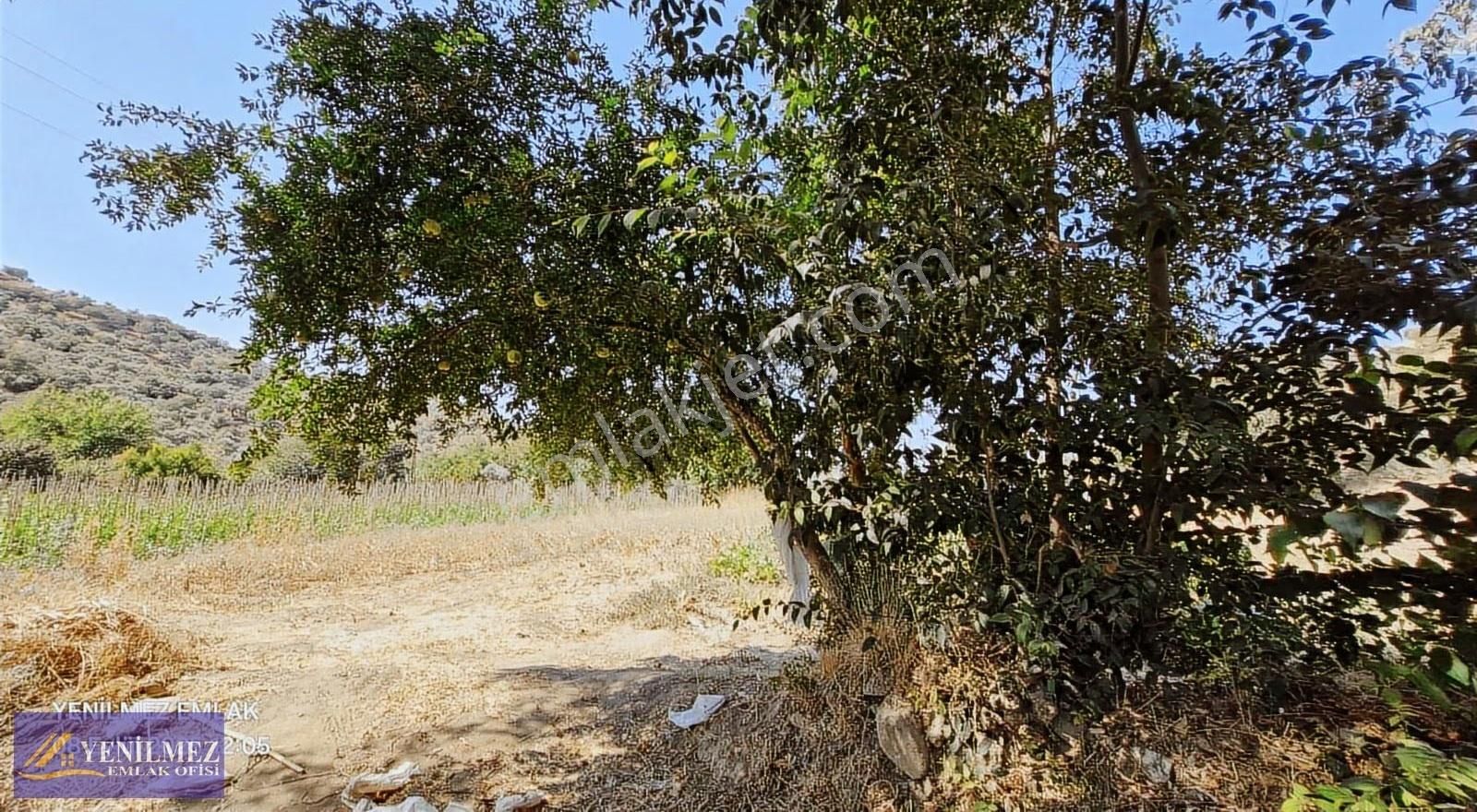 Tire Kocaaliler Mahallesi Satılık Bahçe - Görsel 9