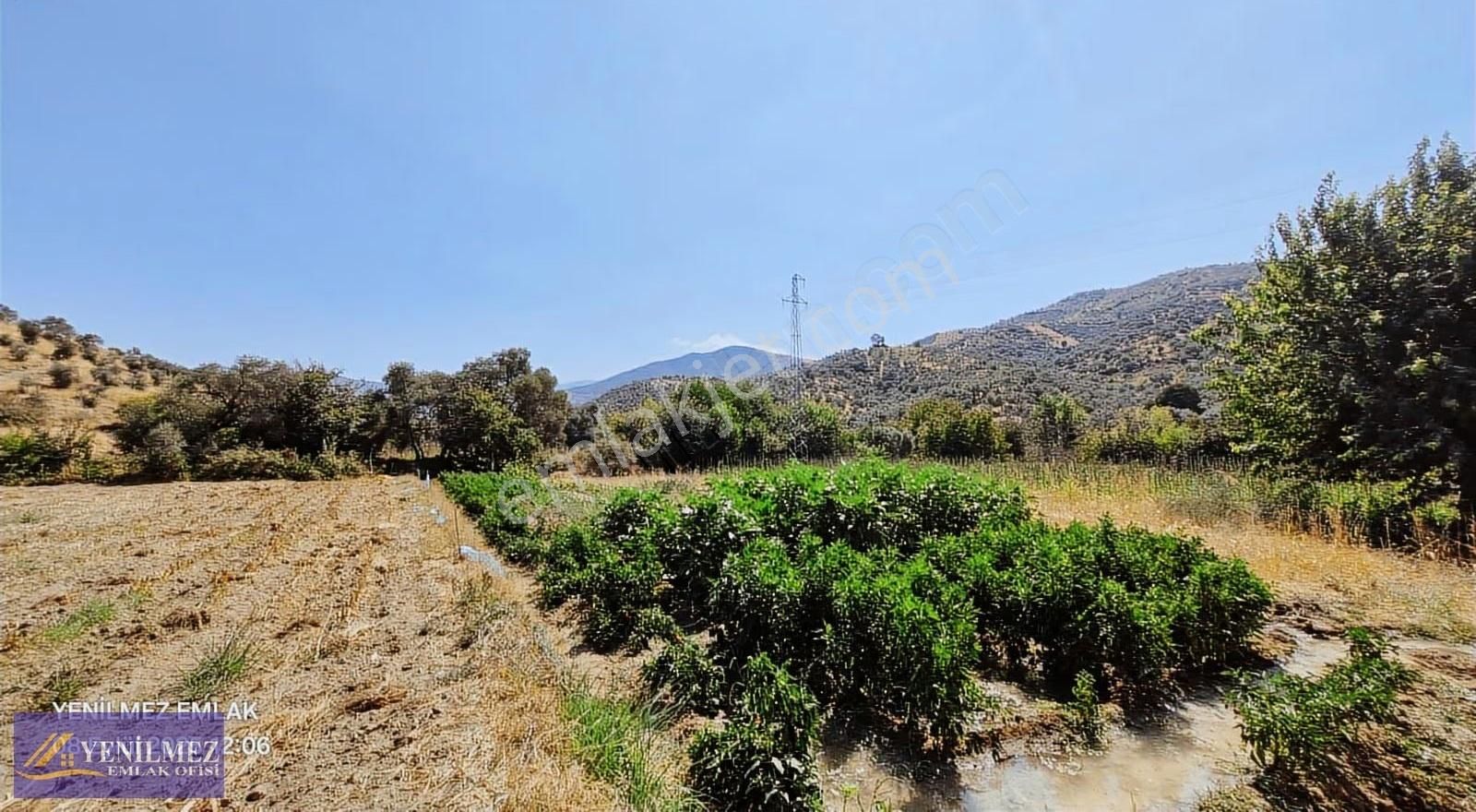 Tire Kocaaliler Mahallesi Satılık Bahçe