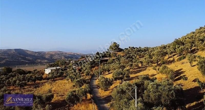 Tire Çayırlı Mahallesi Satılık Bahçe - Görsel 3