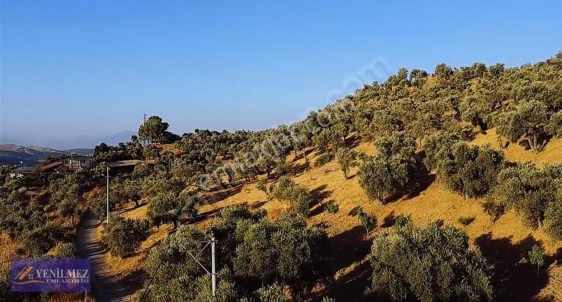 Tire Çayırlı Mahallesi Satılık Bahçe - Görsel 20