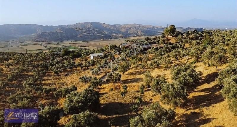 Tire Çayırlı Mahallesi Satılık Bahçe - Görsel 10