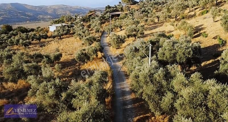 Tire Çayırlı Mahallesi Satılık Bahçe - Görsel 13