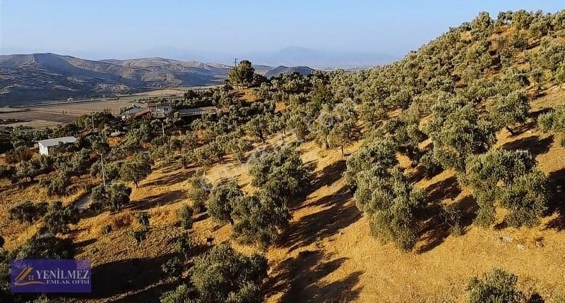 Tire Çayırlı Mahallesi Satılık Bahçe