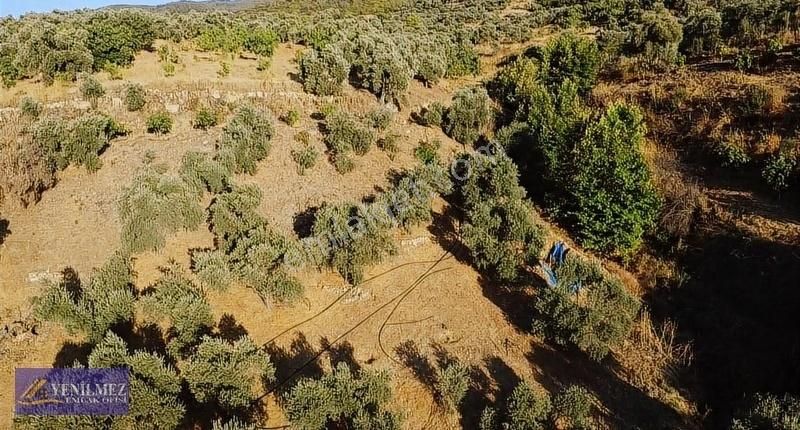 Tire Çayırlı Mahallesi Satılık Bahçe - Görsel 14